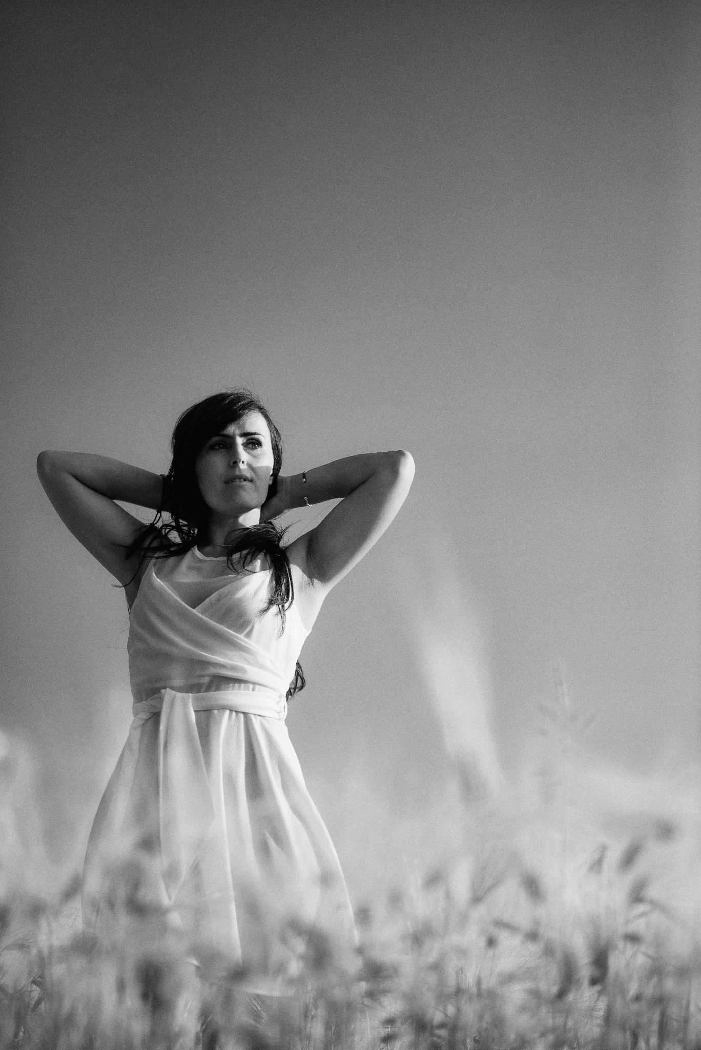 La pace in un campo di grano