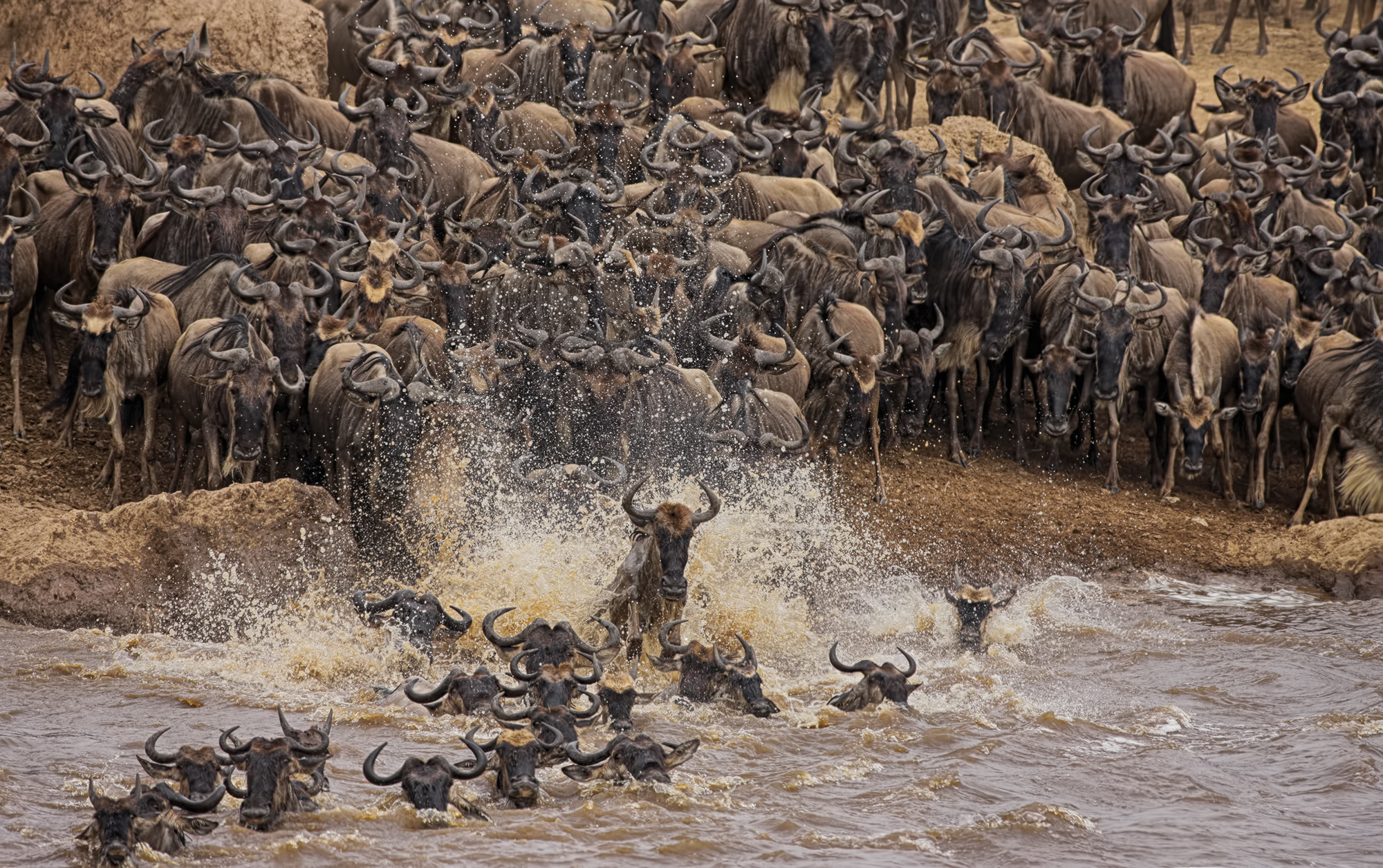 Mara crossing