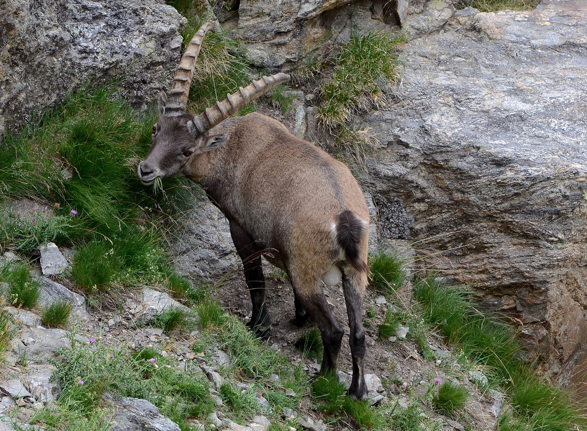 A short walk away ...