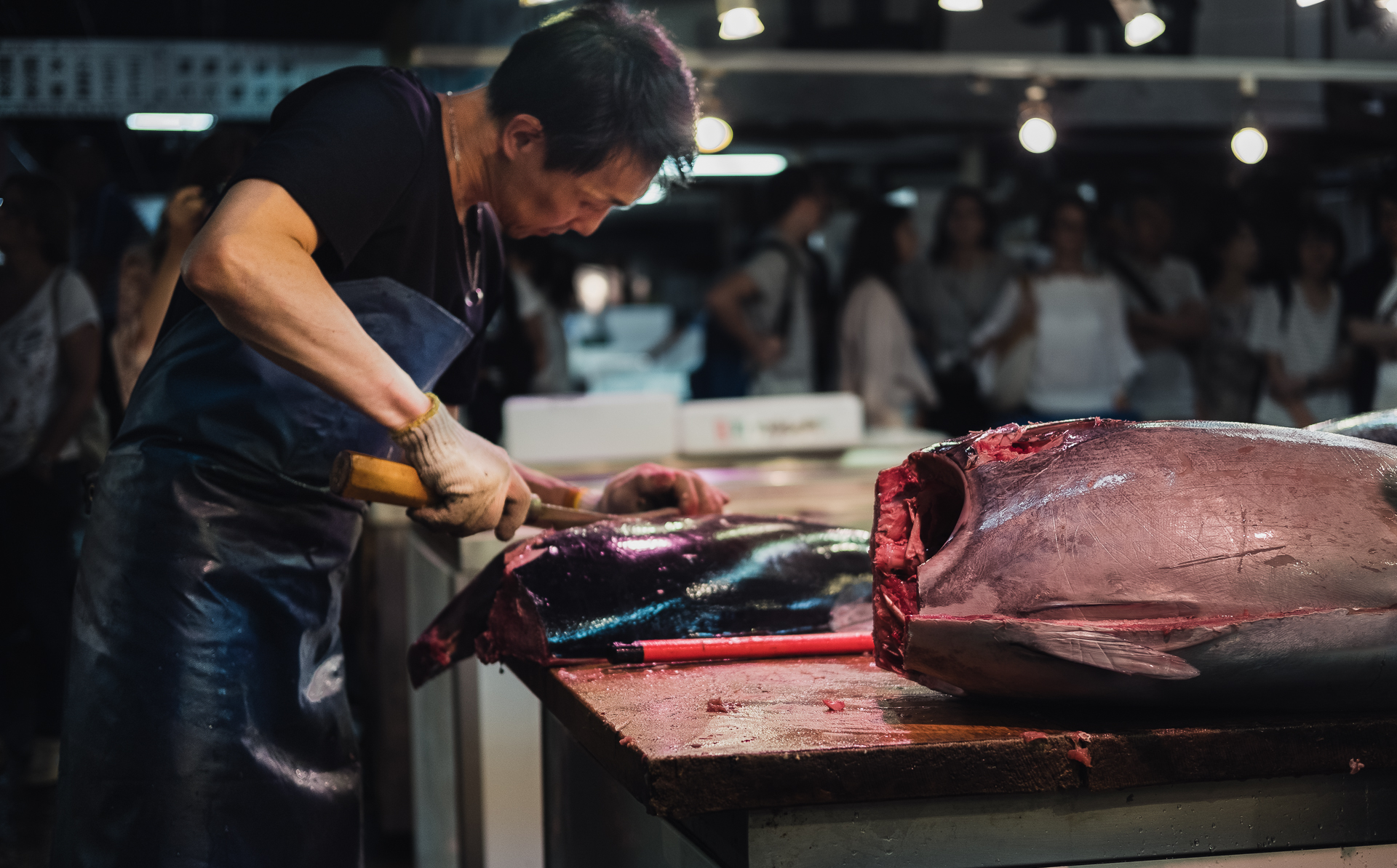 Tsukiji Fish Market Tokyo