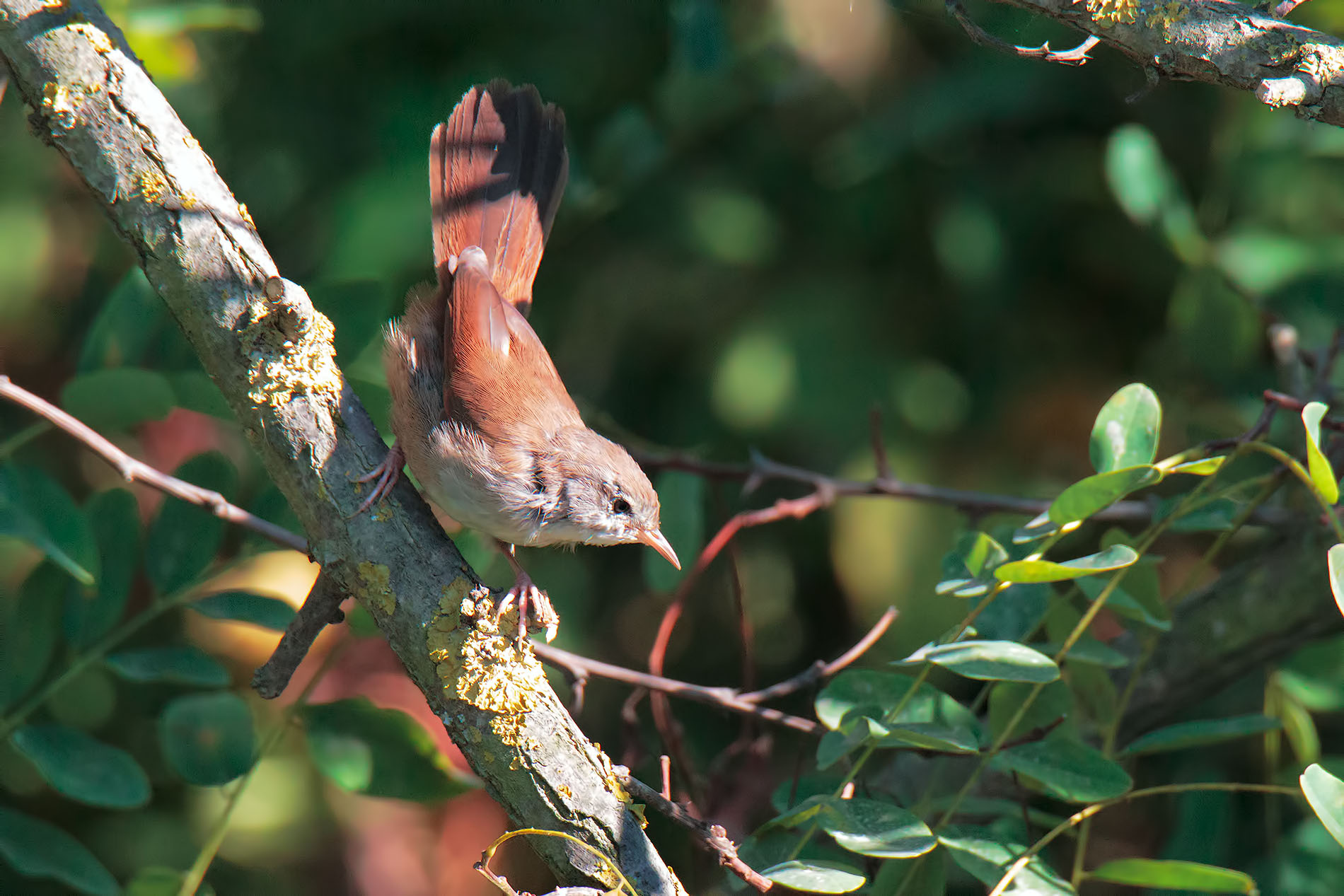 River sleeping or ?????