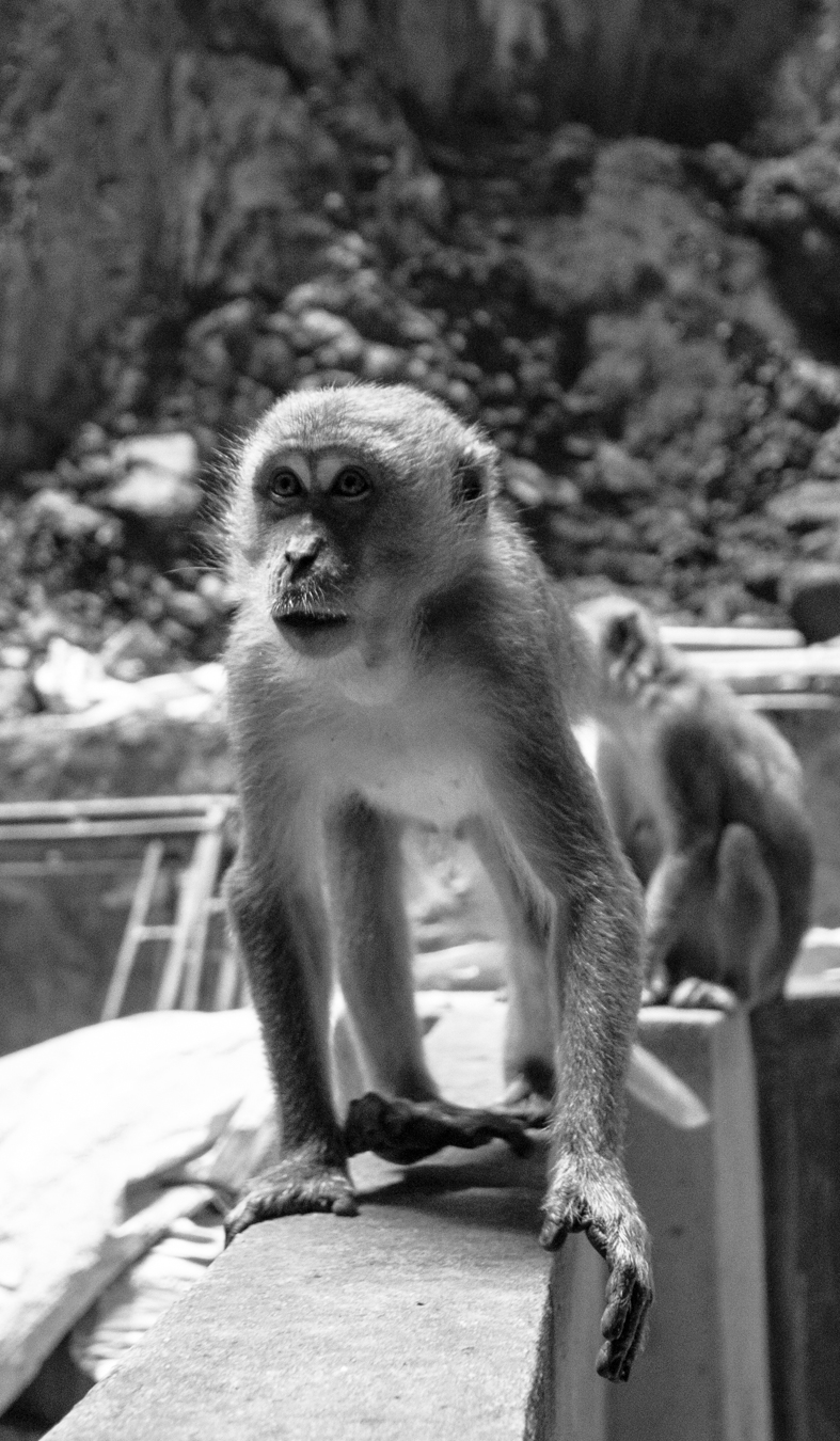Maya Bay Phi Phi Island