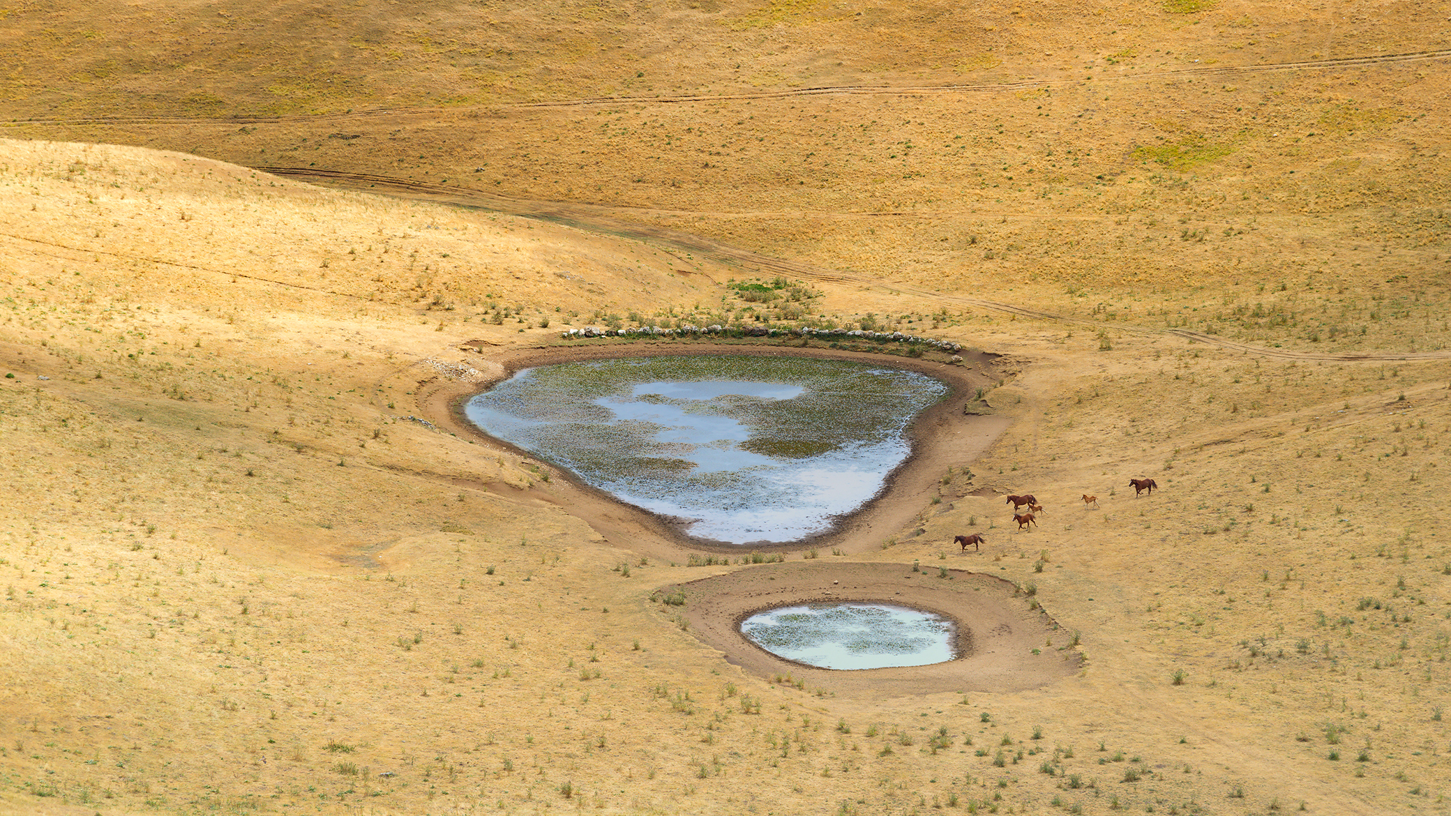 The ride ... to the water!