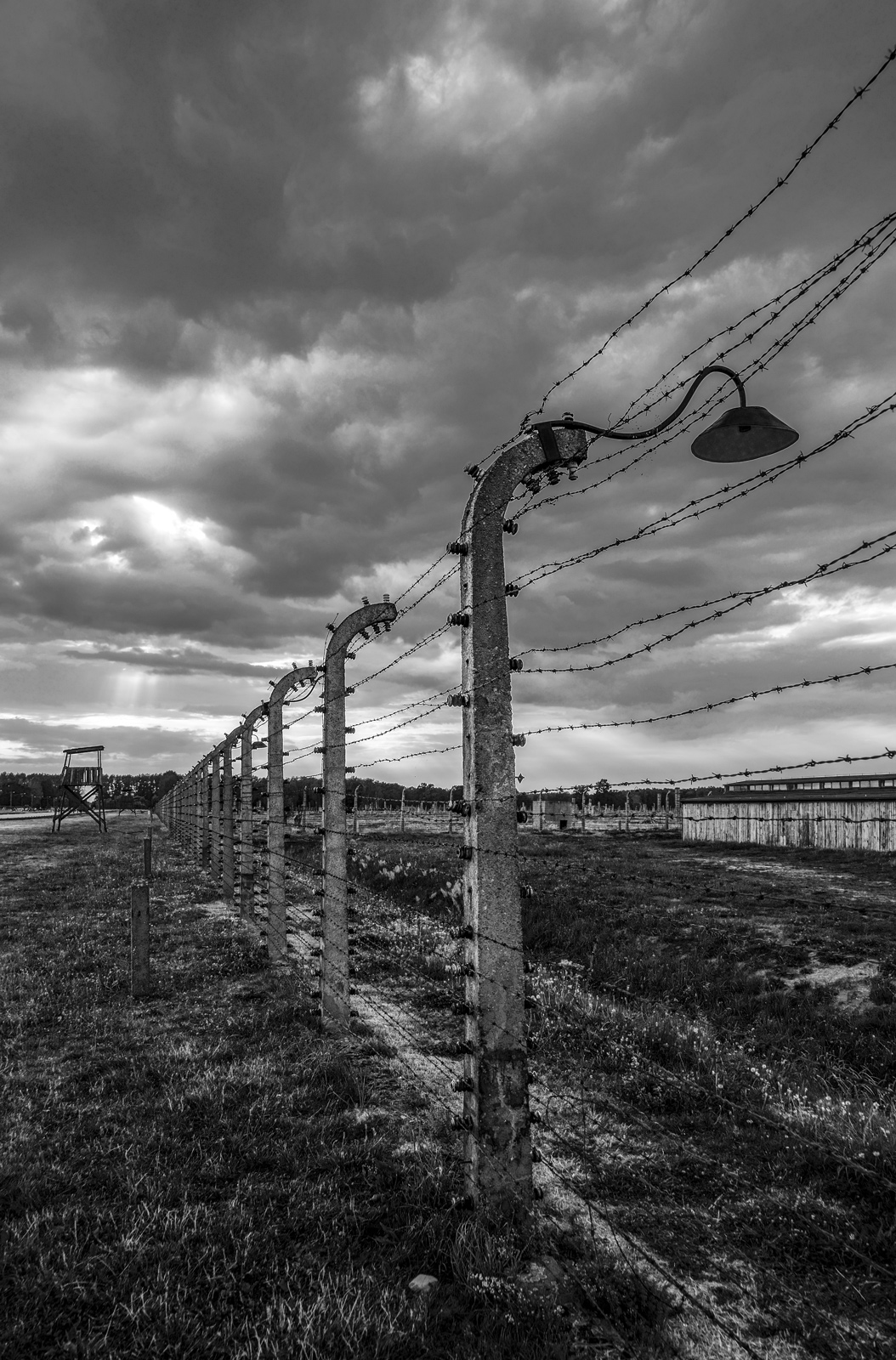 Birkenau: al limite del campo