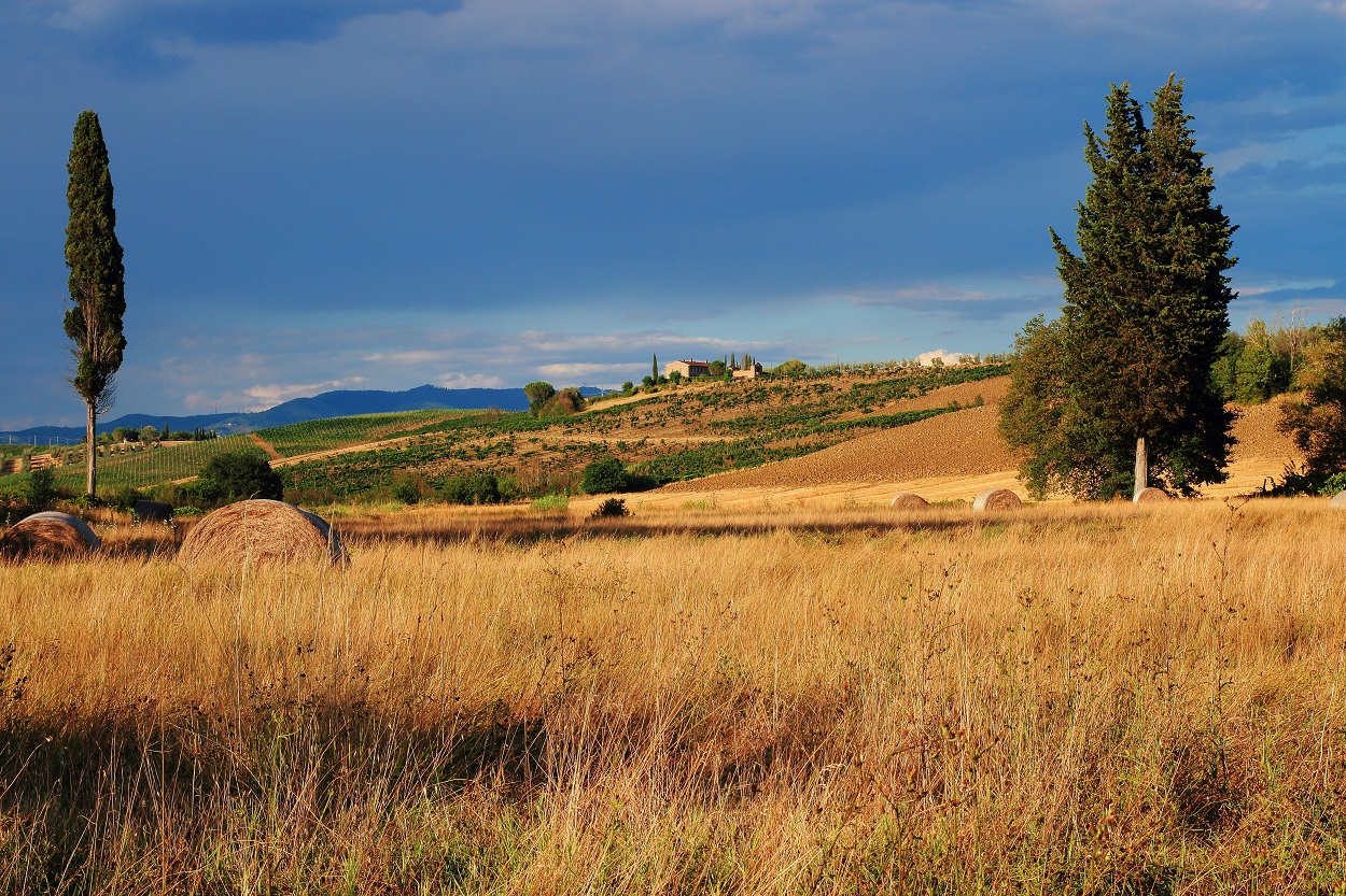 Il podere del Biagioni