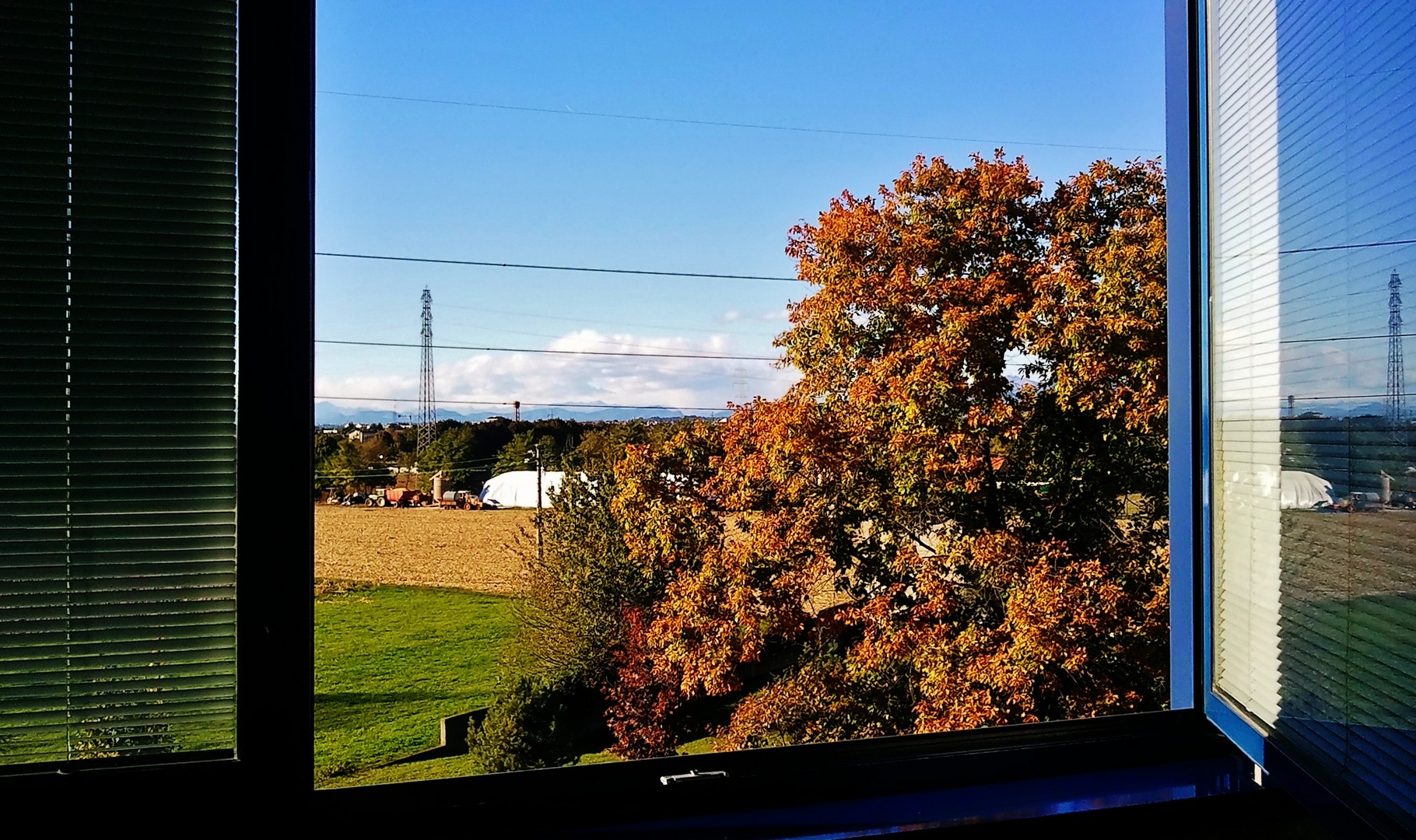 Opening to colors and freshness