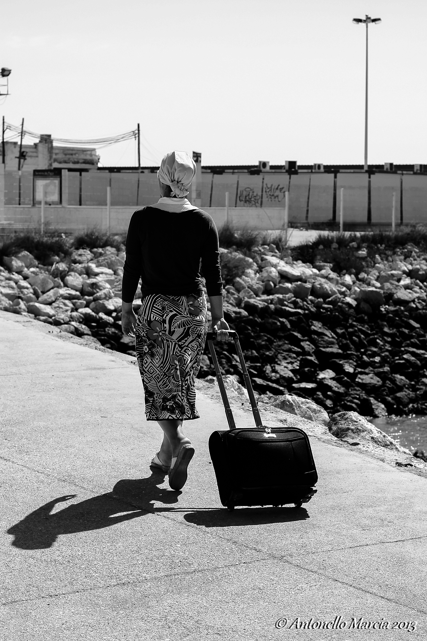The woman with the suitcase