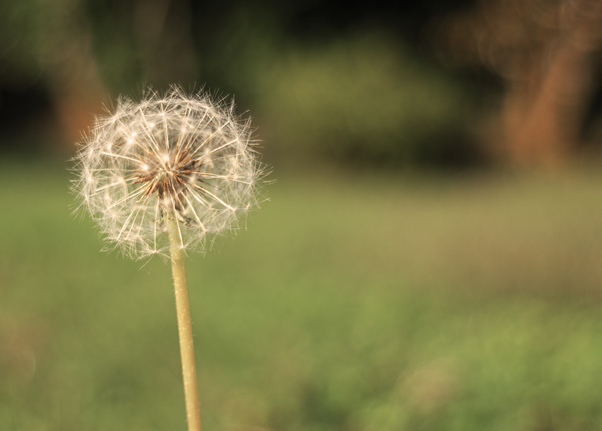 a gust of wind and ...