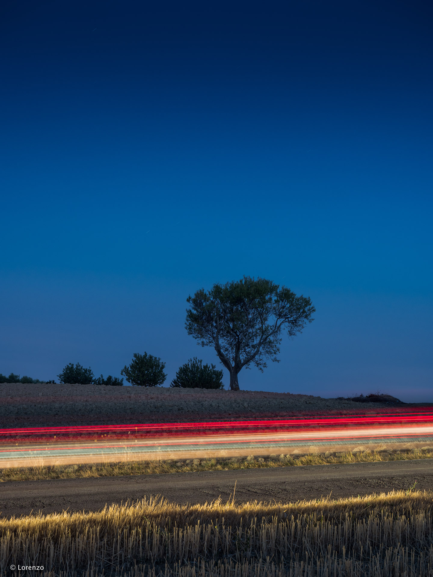 Macerate countryside