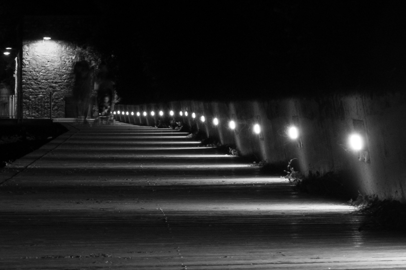 The illuminated path