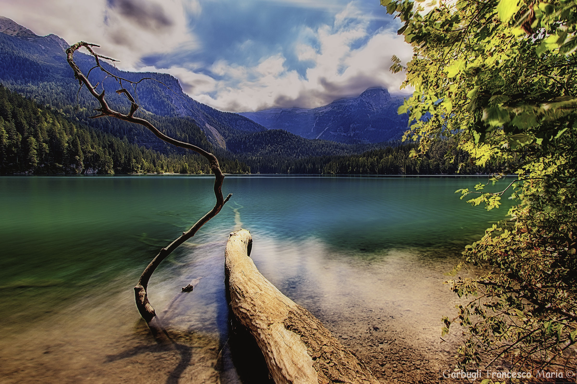 Quel ramo sul lago di Tovel.........