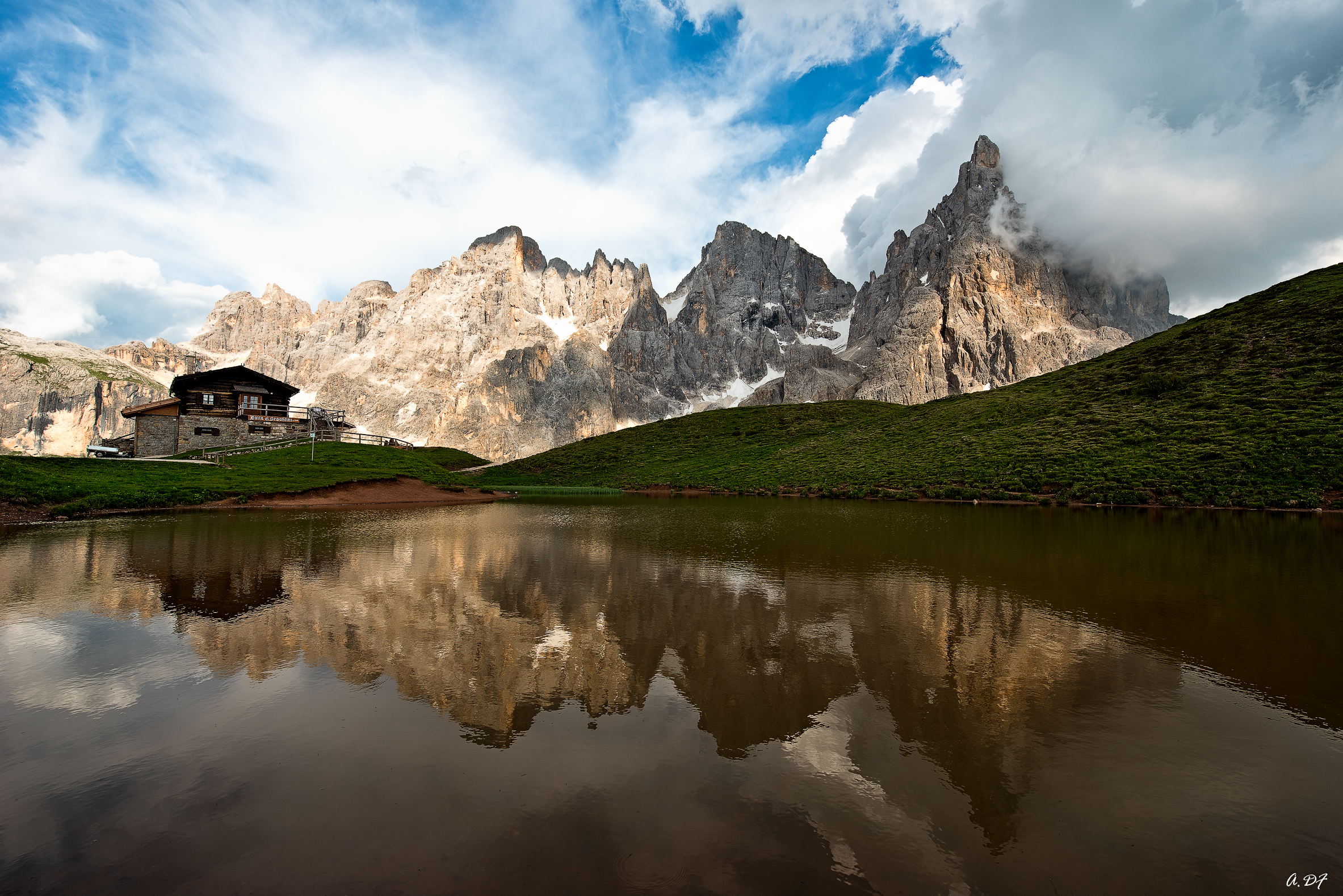 looking forward to san martino pale