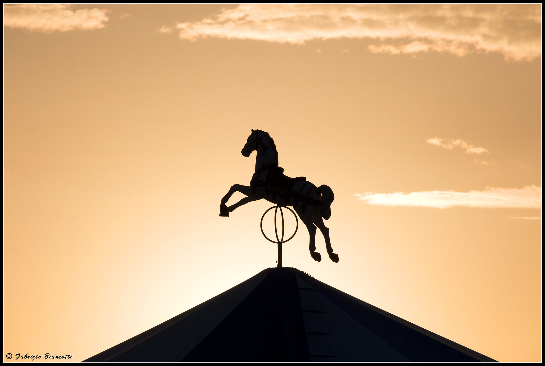 Il cavallo della giostra