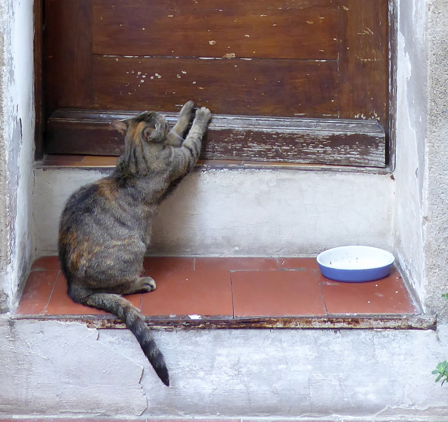 aprite voglio entrare...