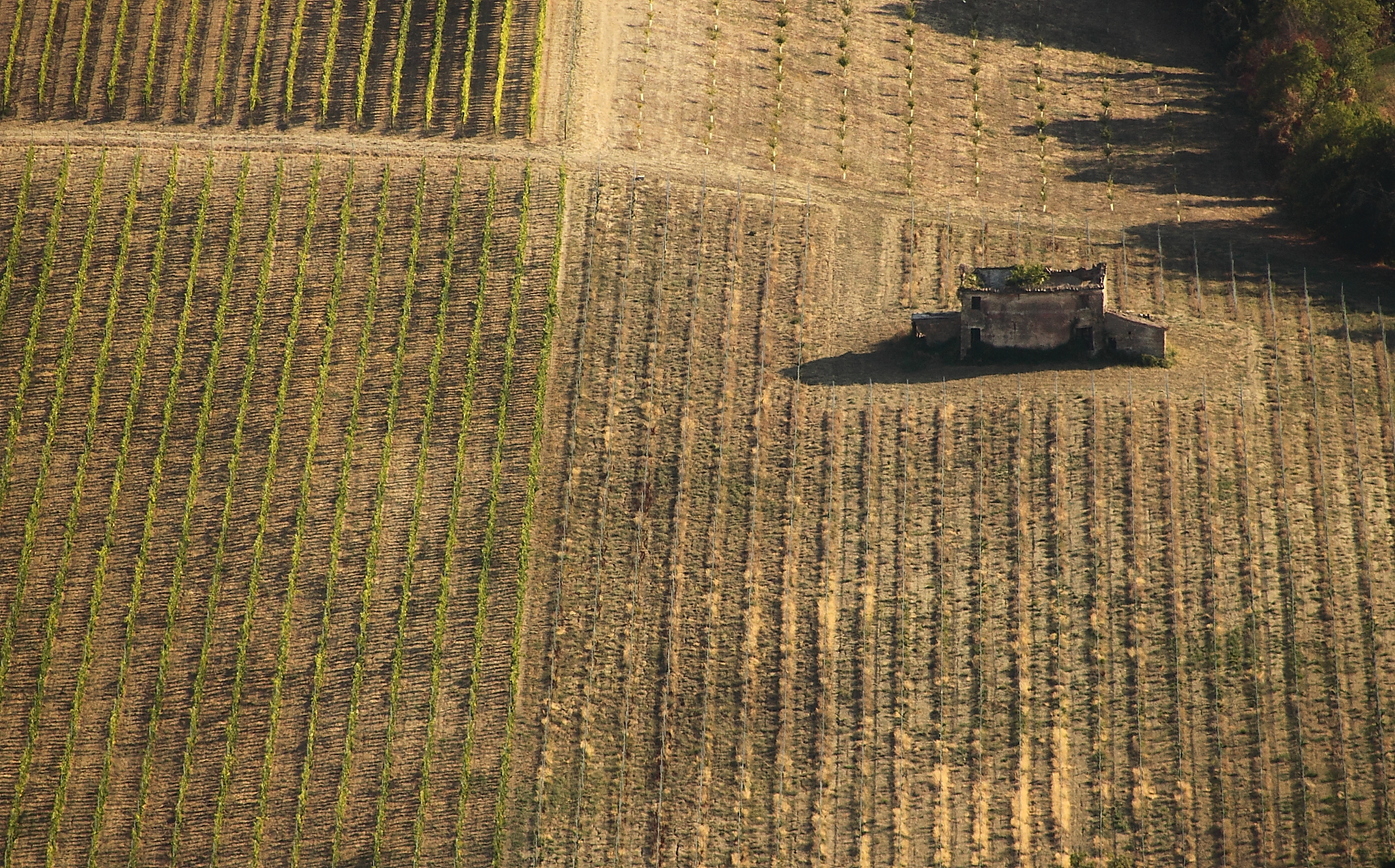 From Fratterosa (pu)