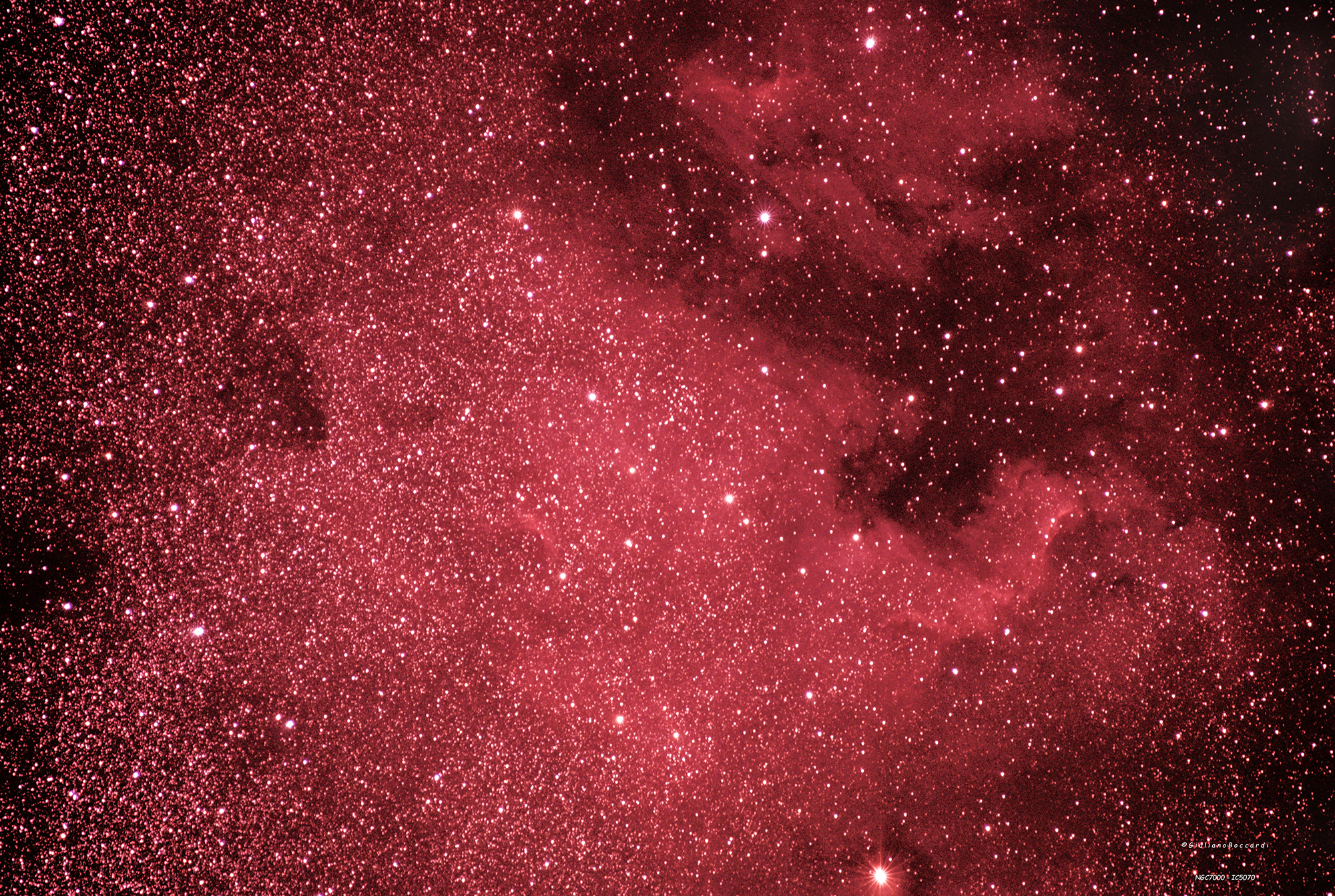ngc7000+ic5070