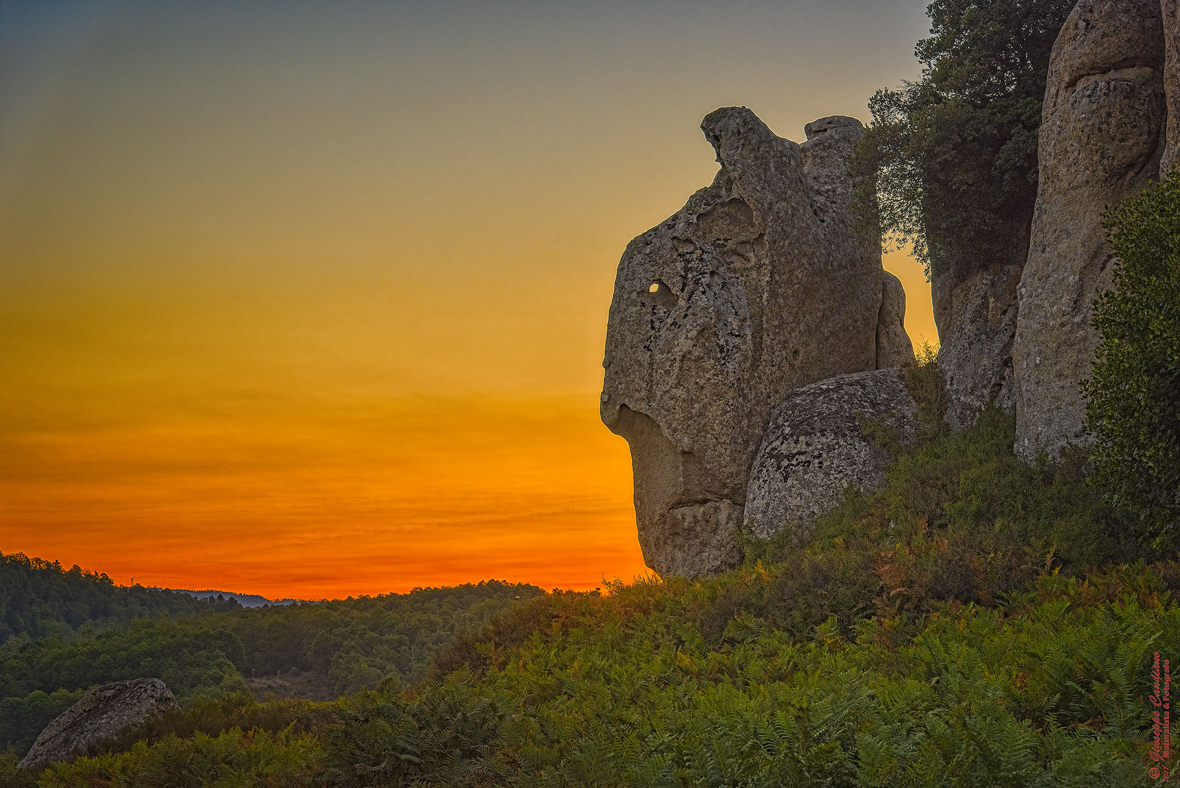 Argimusco la Stonehenge Siciliana
