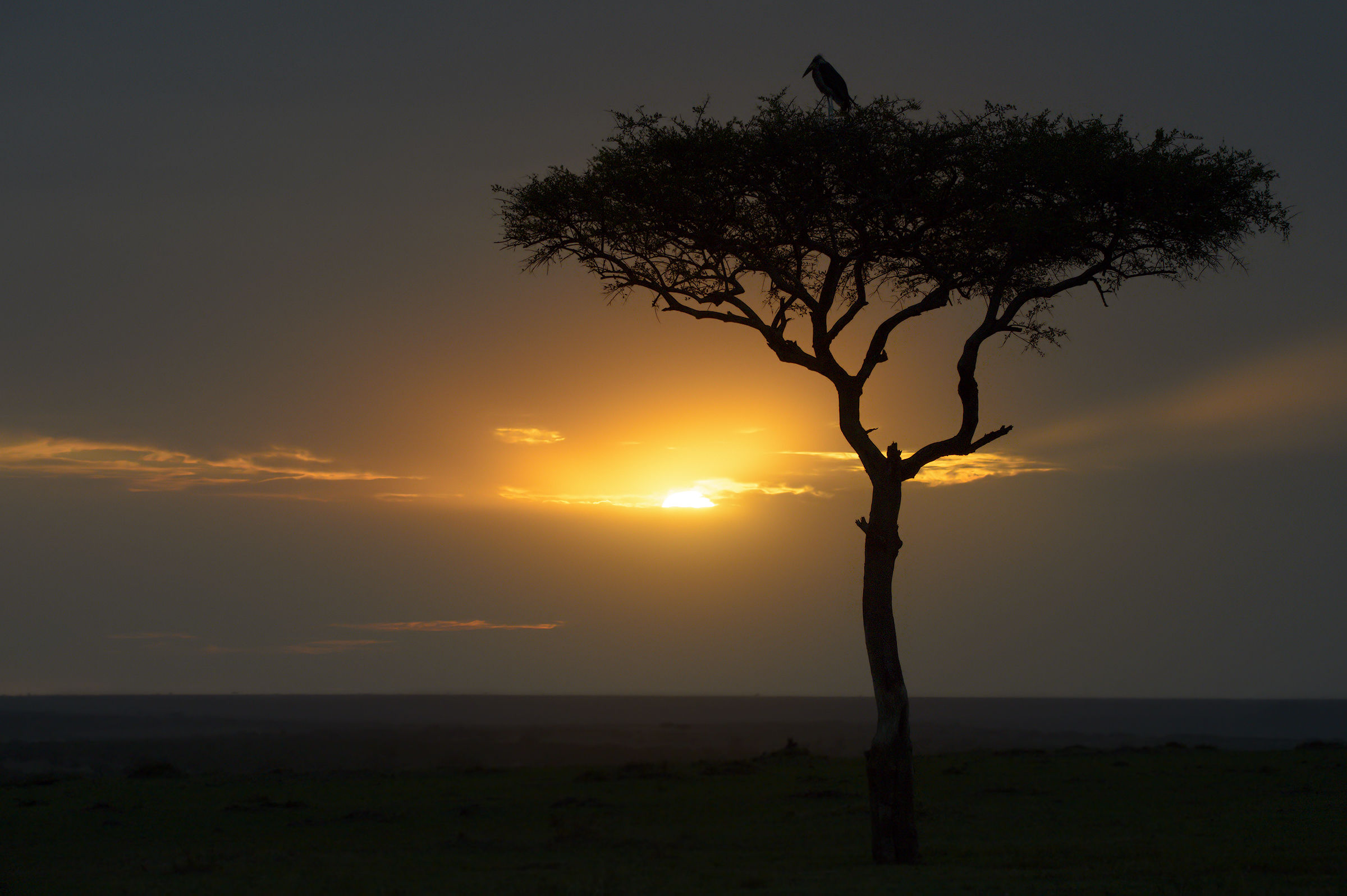 The dawn of a new day