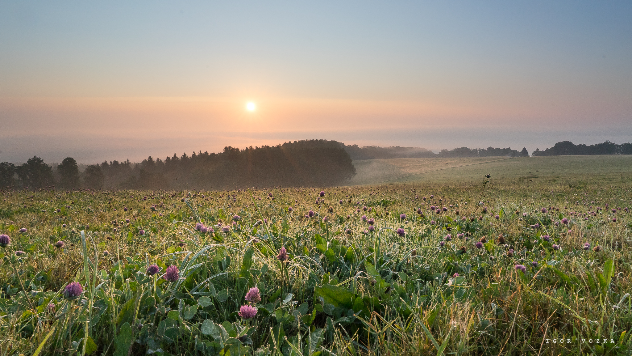 Sunrise with city under fog