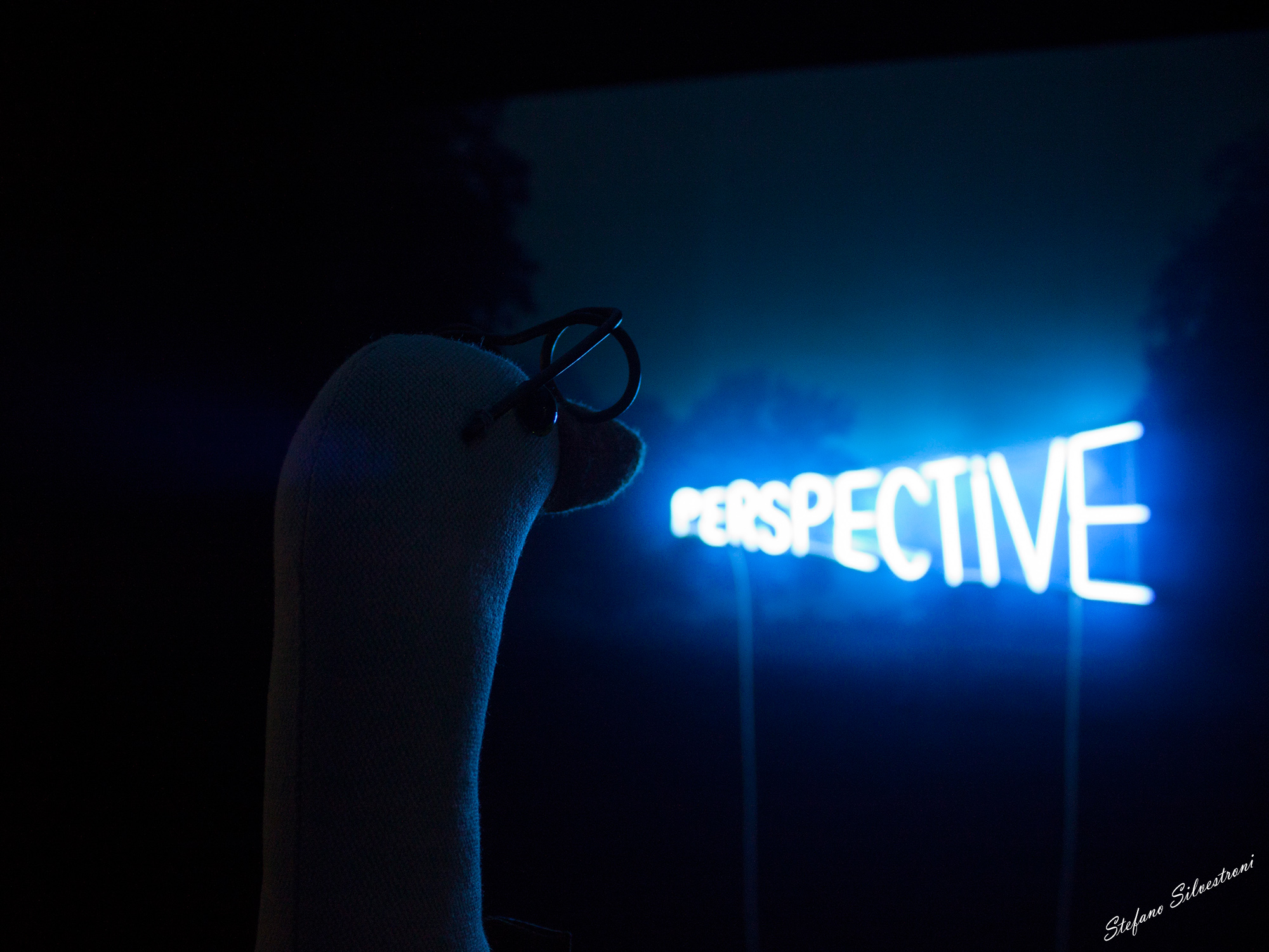 From the point of view of a Papero ... "Perspective Dhu...