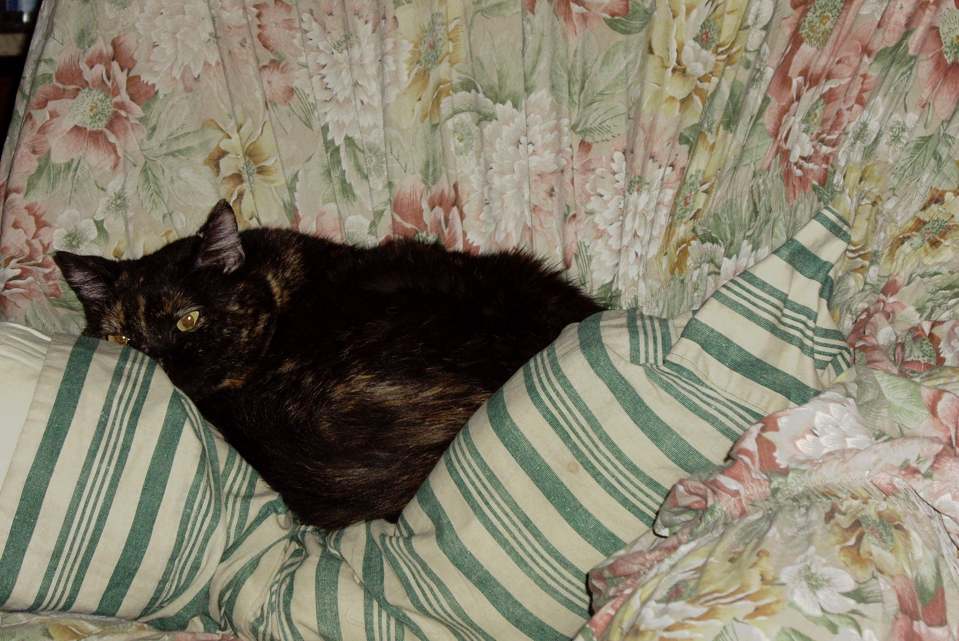 Maquantoèccomodastapoltrona