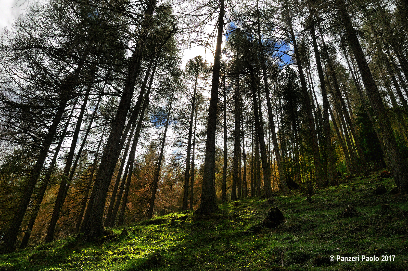 I soldati della valle