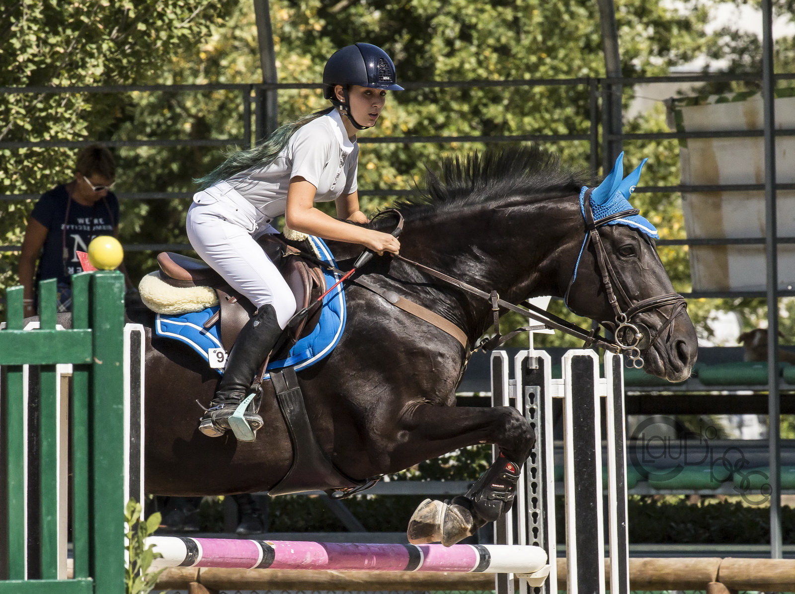 concorso ippico nazionale di s.o. tipo a**** cat 130