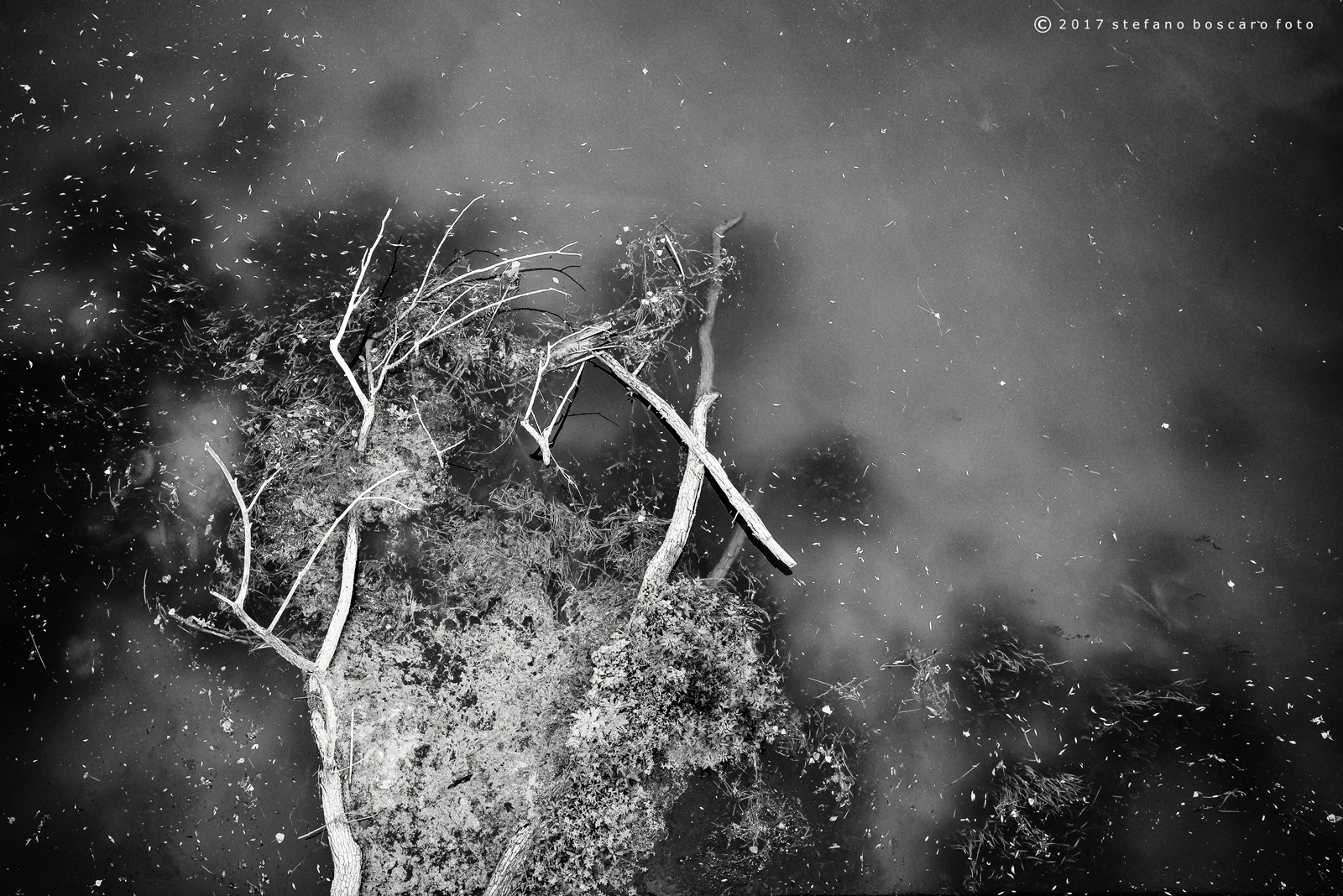 "Along the river and on the water ..."