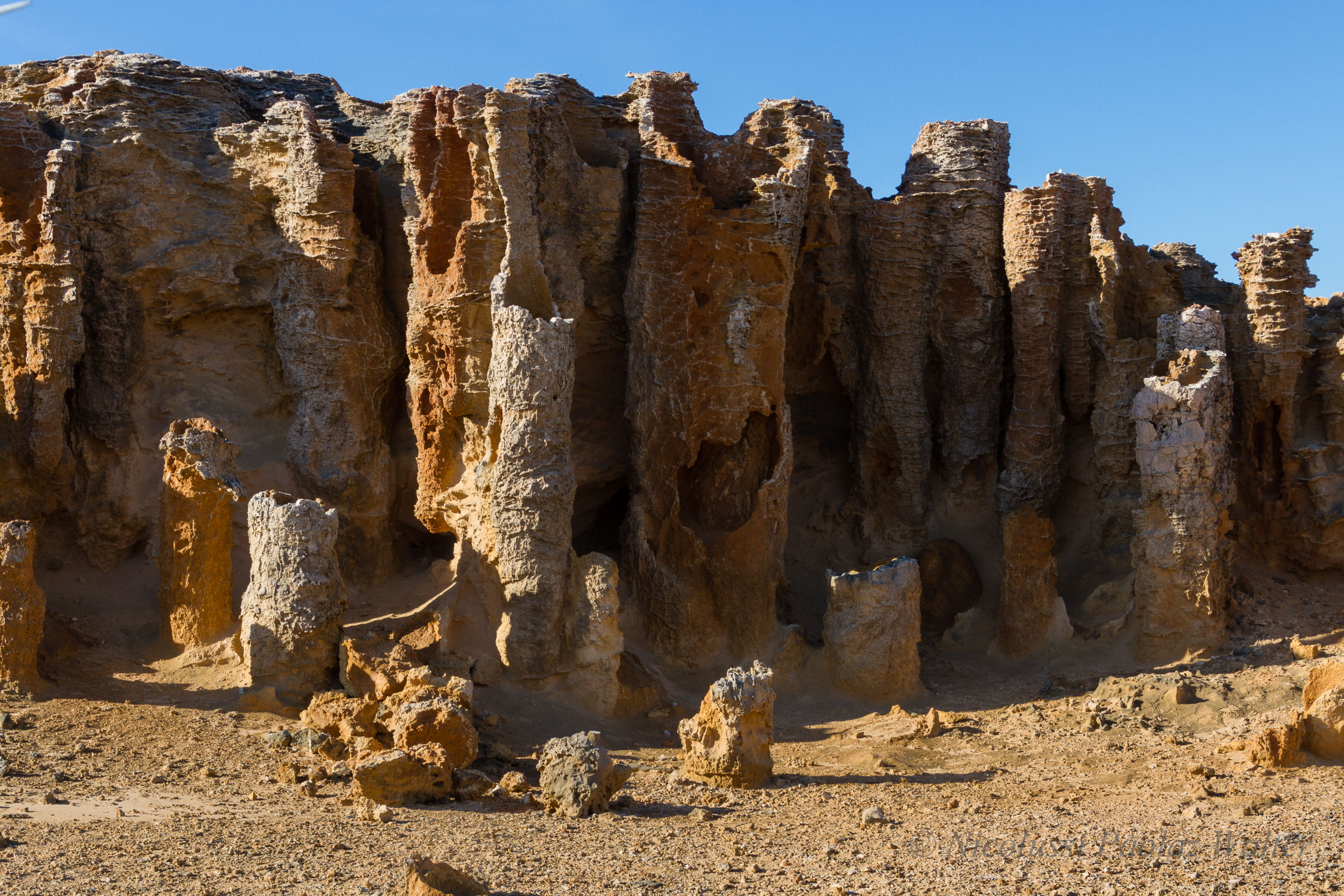 Petrified Forest - Cape Bridgewater
