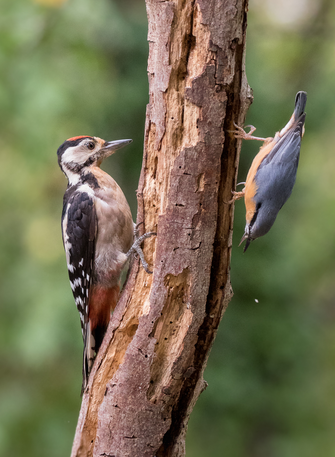c'è chi scende e c'è chi sale...