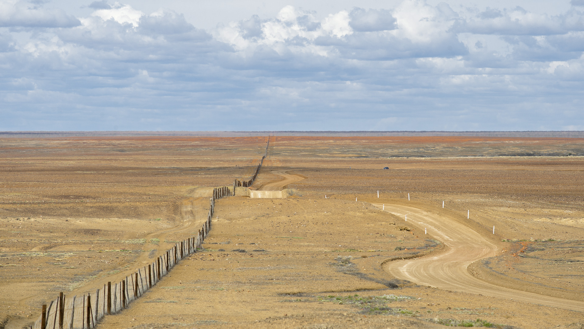 Dog Fence o Dingo fence