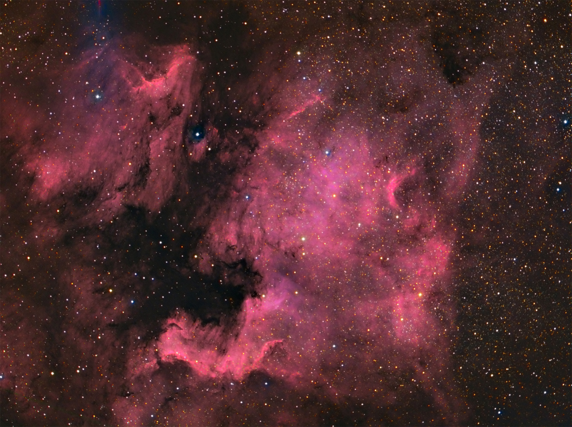 ngc7000 and Pelican Nebula
