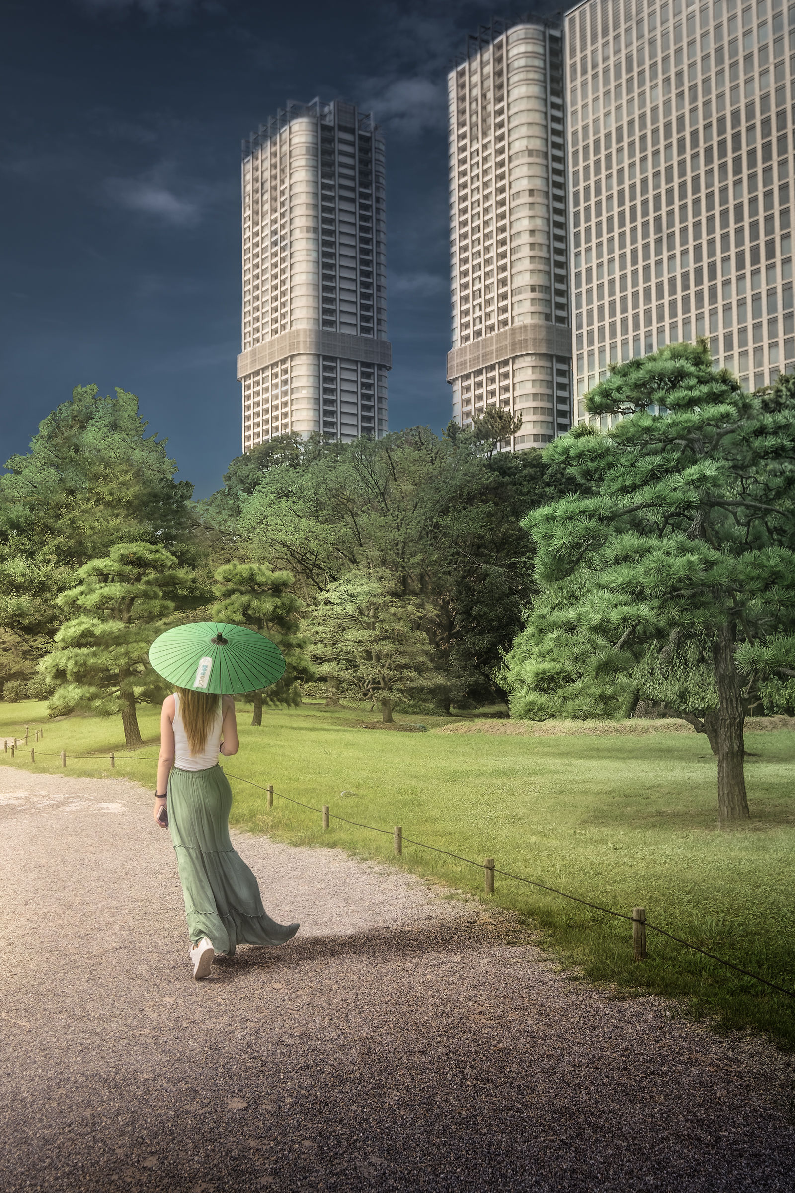 Put one day in Tokyo