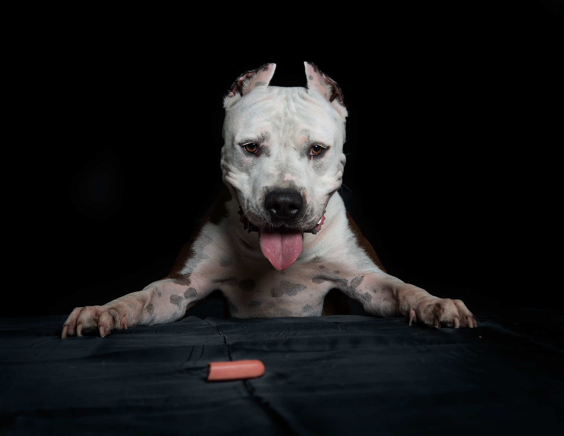 Ma io ho fame......!!!!