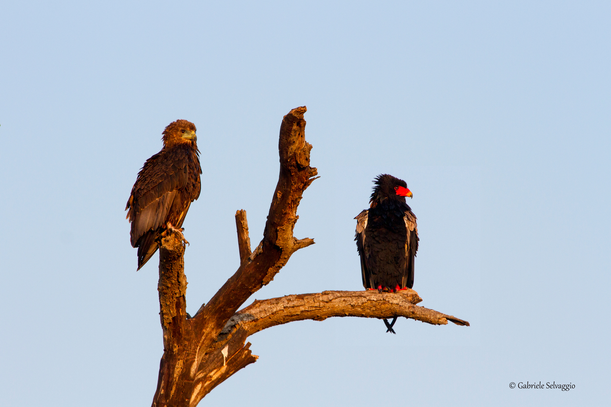 Due generazioni a confronto