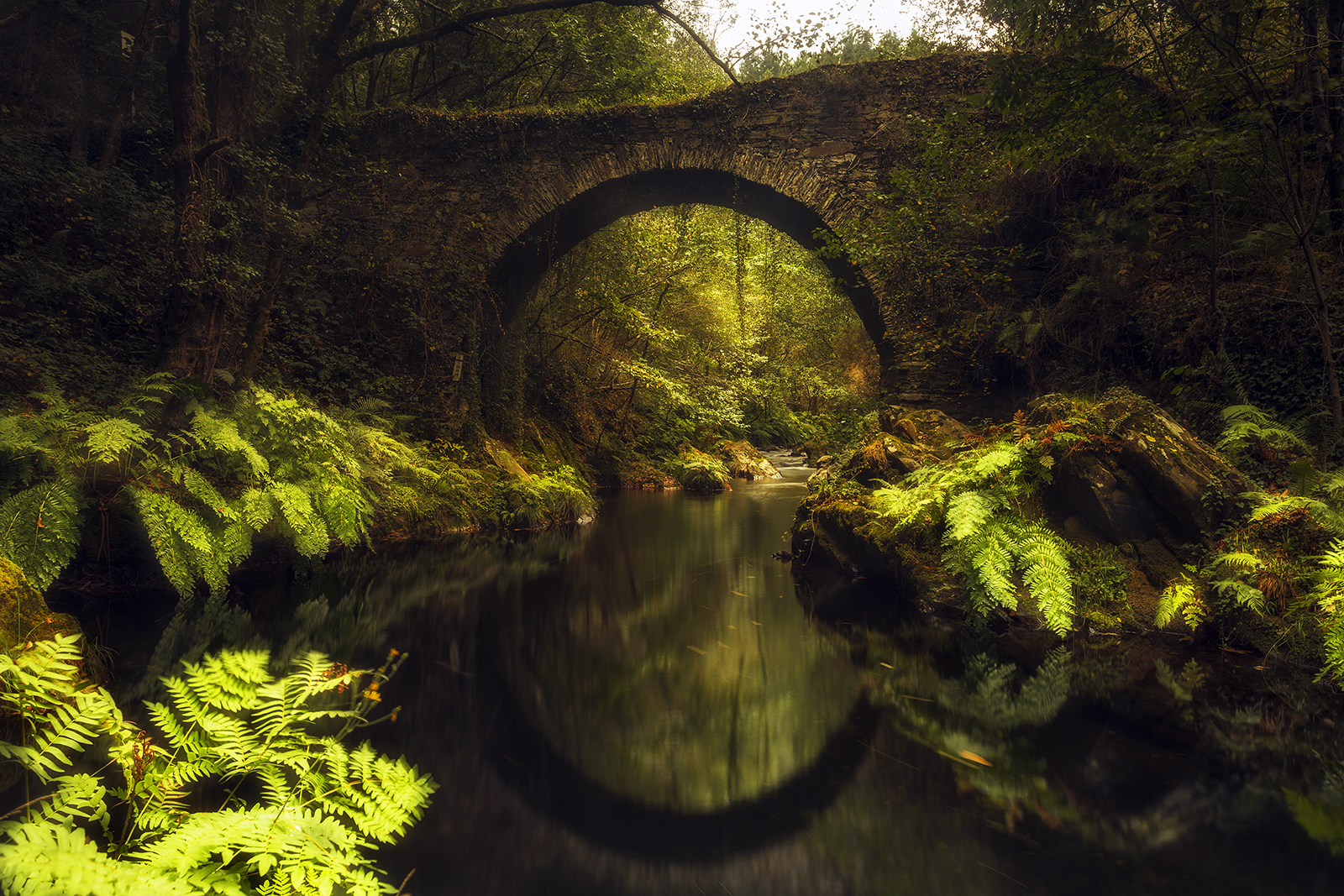 Puente Polea Villayón - Asturias