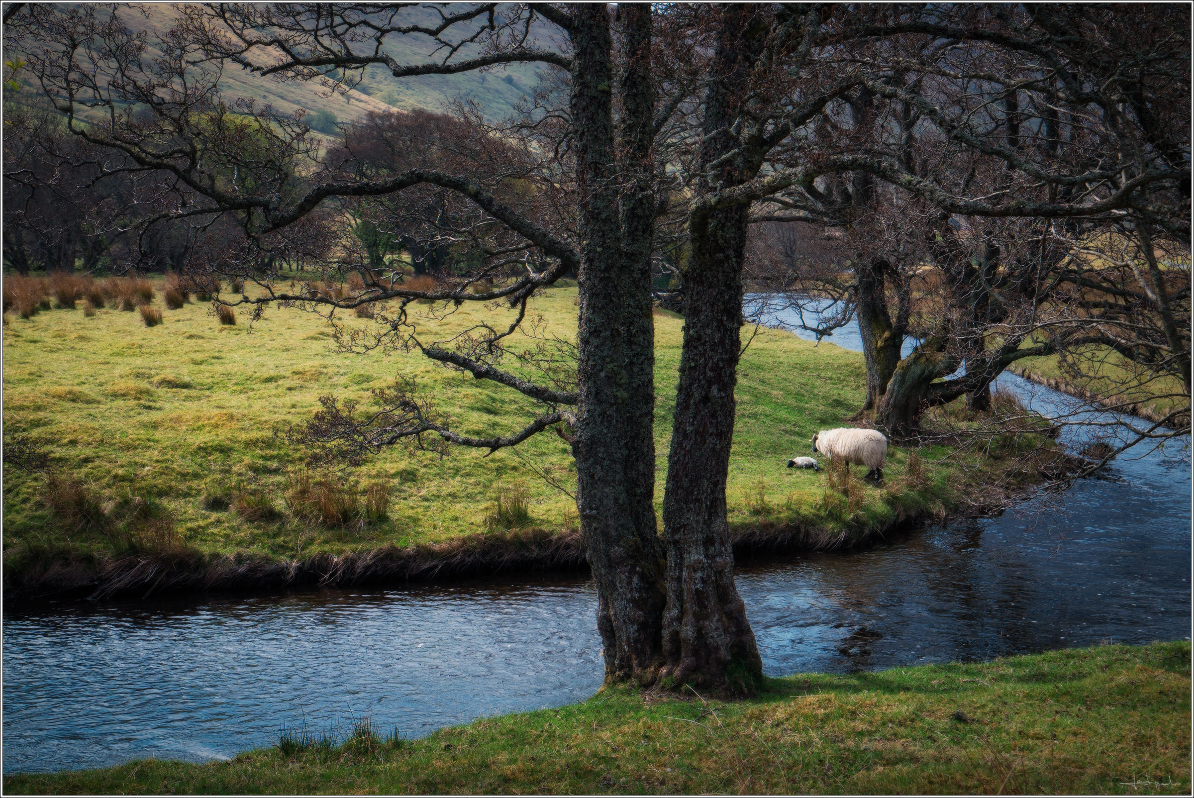 Nei pressi di Loch Lyon