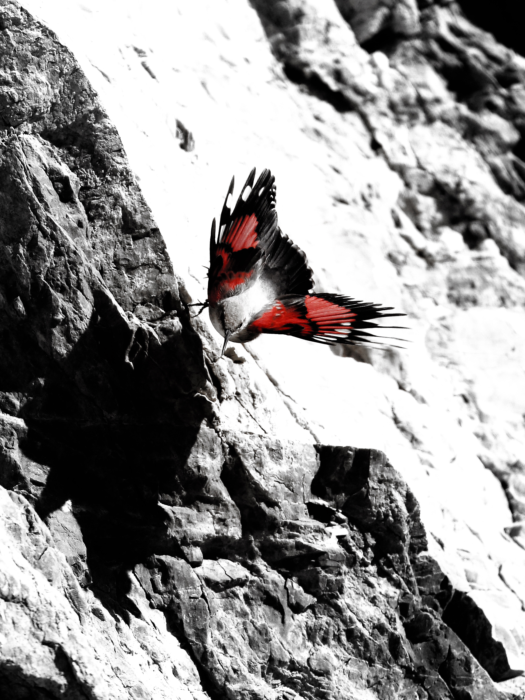 Escalade avec le grimpeur des murailles.