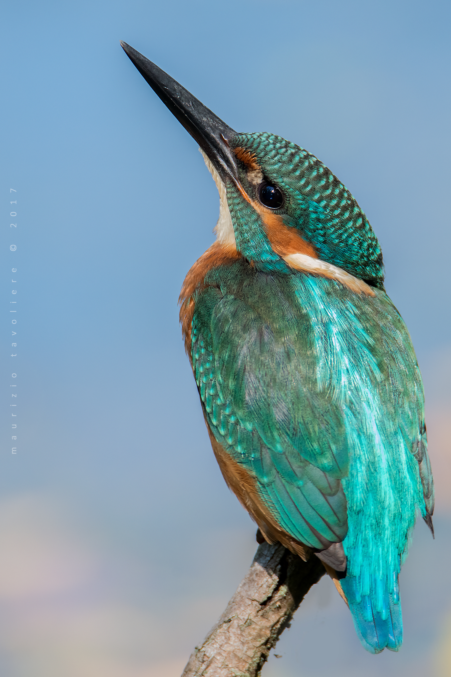 Con la testa tra le nuvole ..