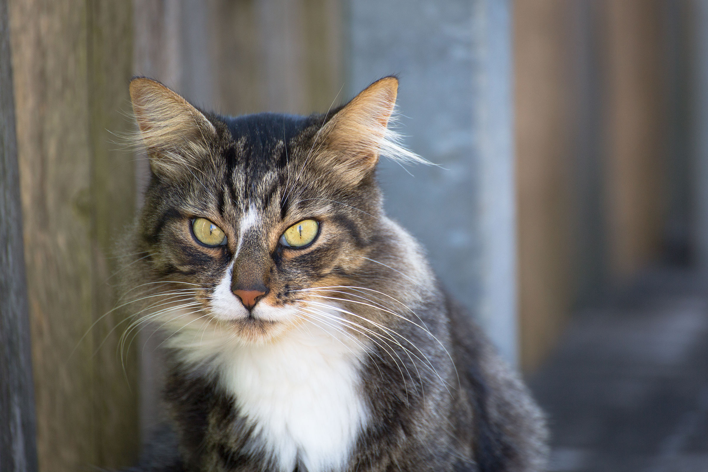 Incontri inaspettati.