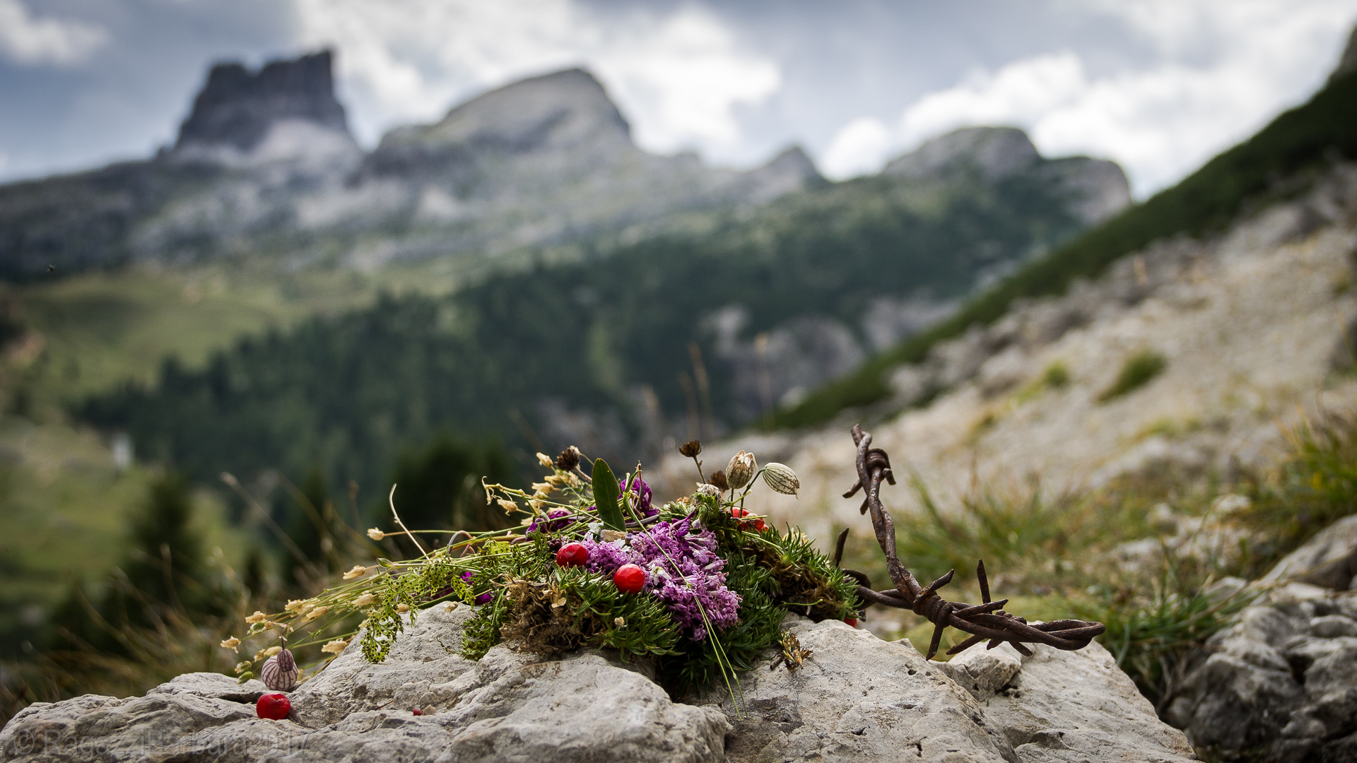 Recalling the Great War