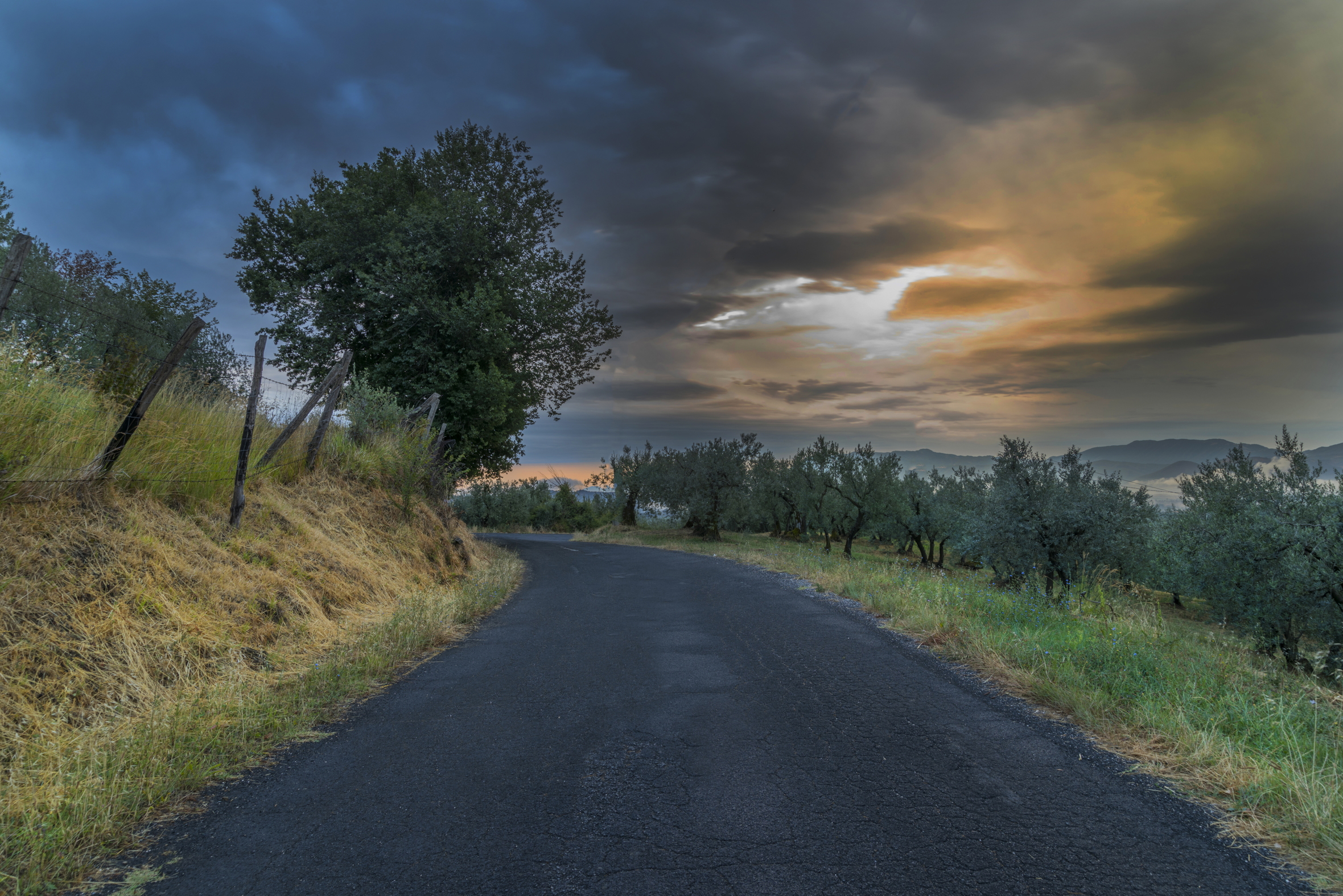 Andando verso l'alba