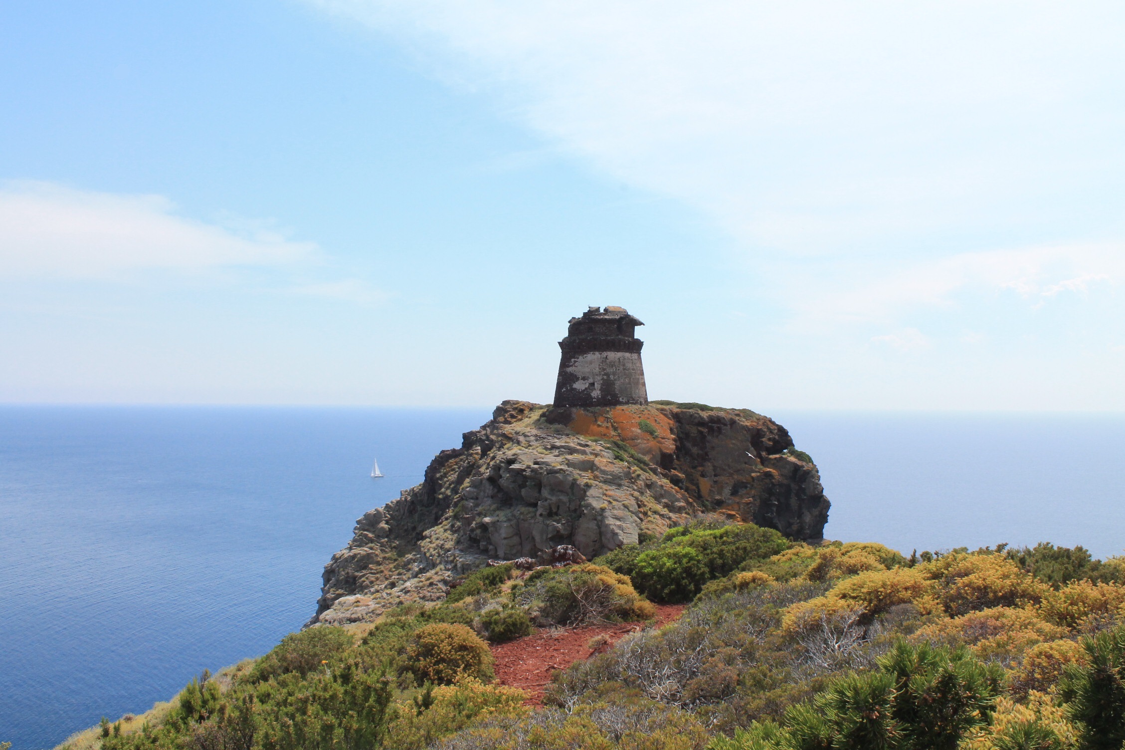 punta dello zenobito