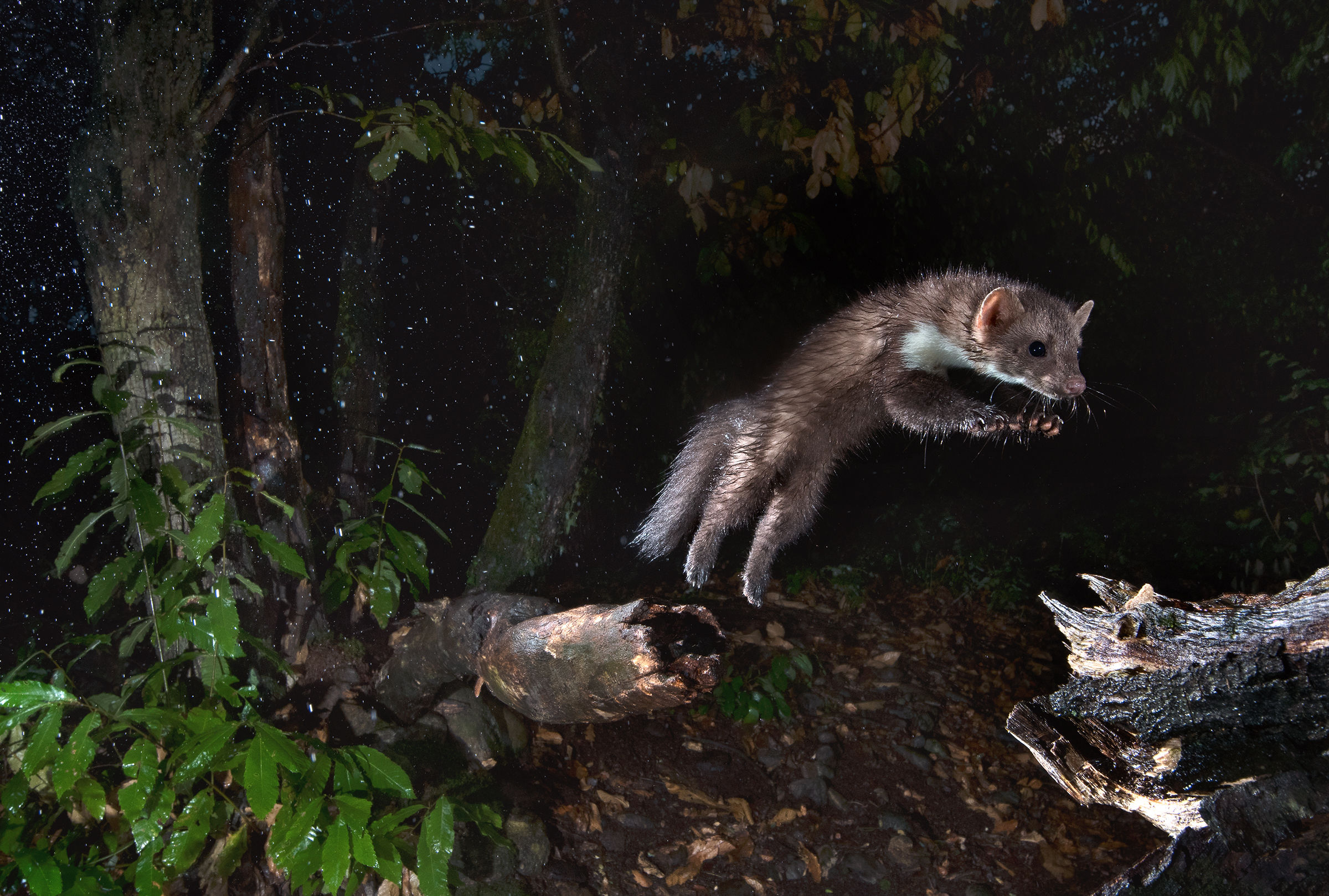 una notte di tregenda