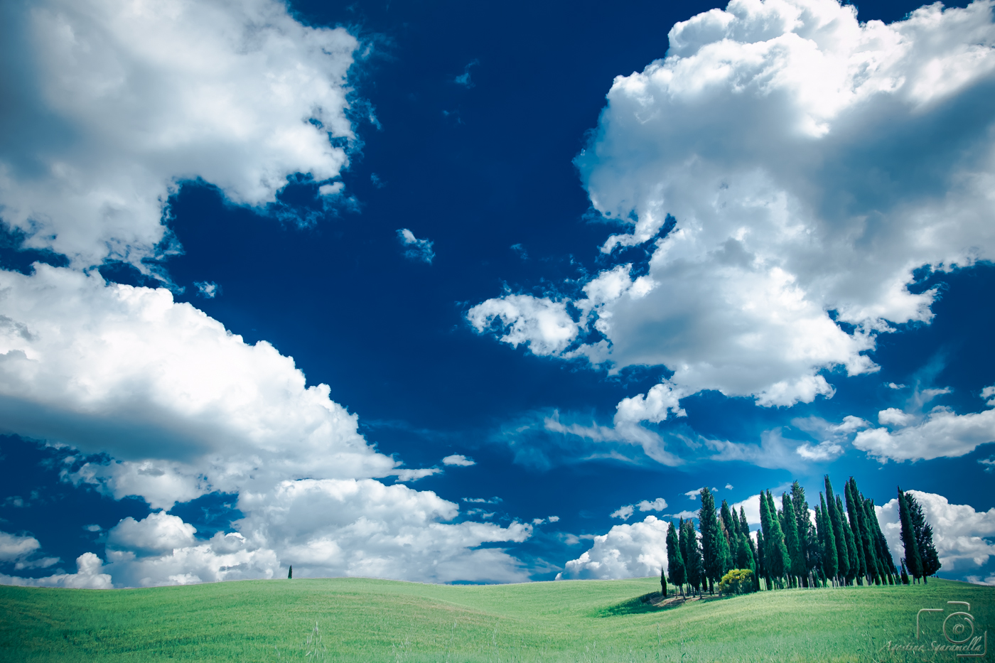 Val d'Orcia_Cipressi