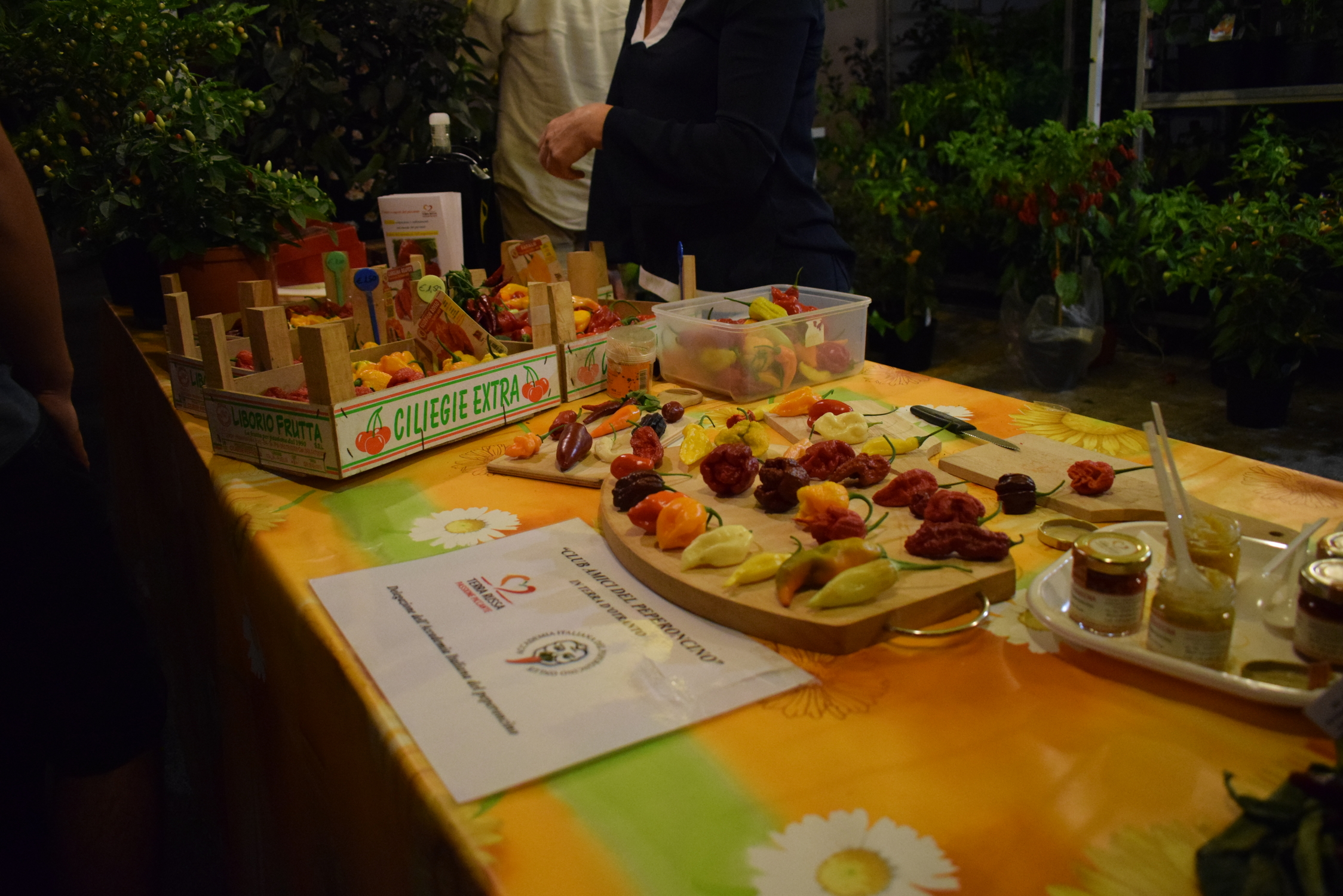 Chillies in Ruffano (Le)