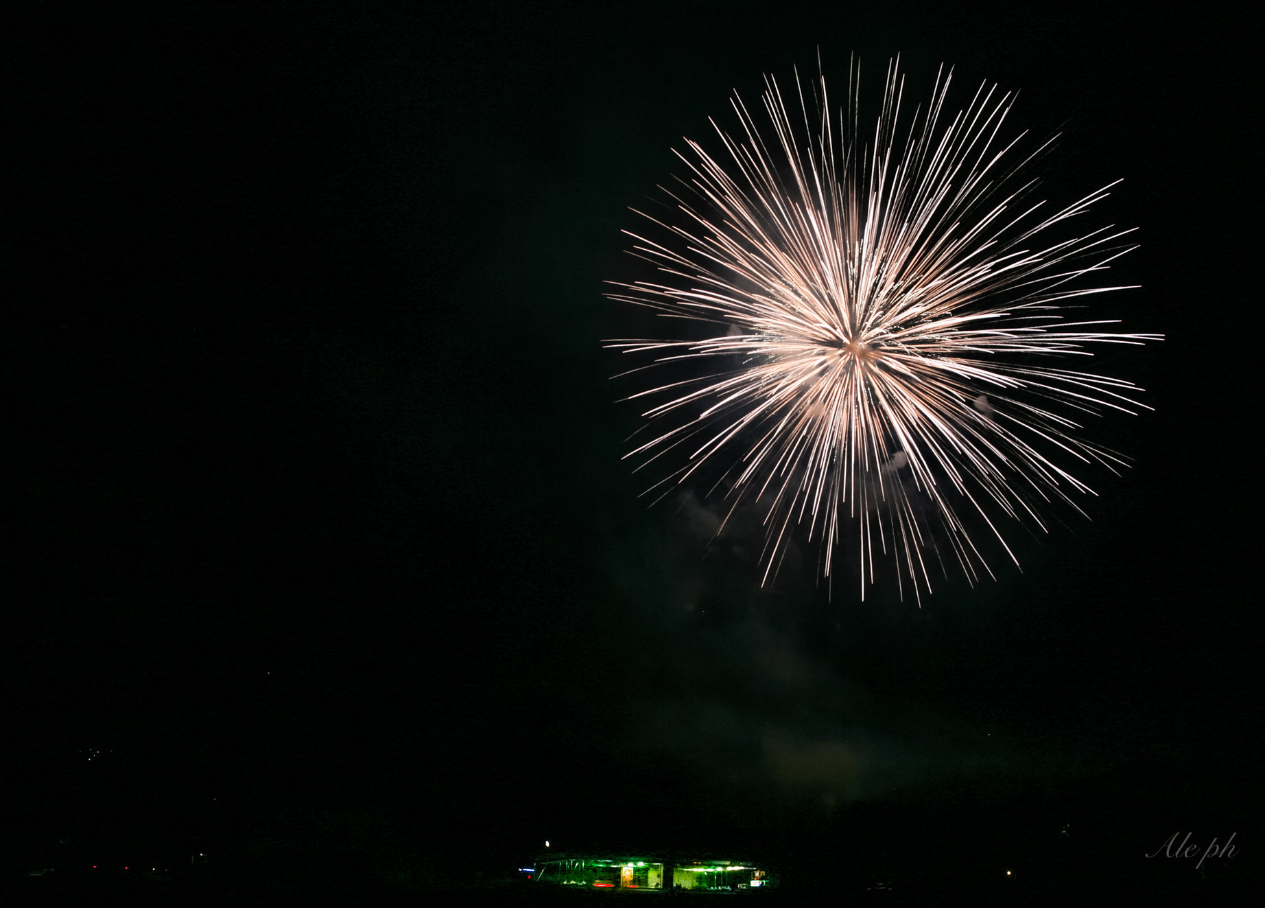 santa gusta by night