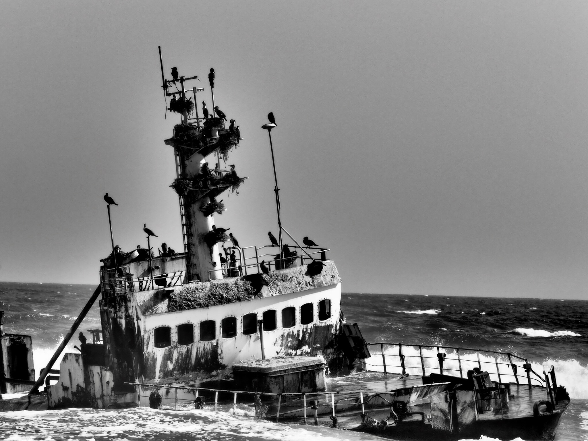 Conquista dopo il naufragio