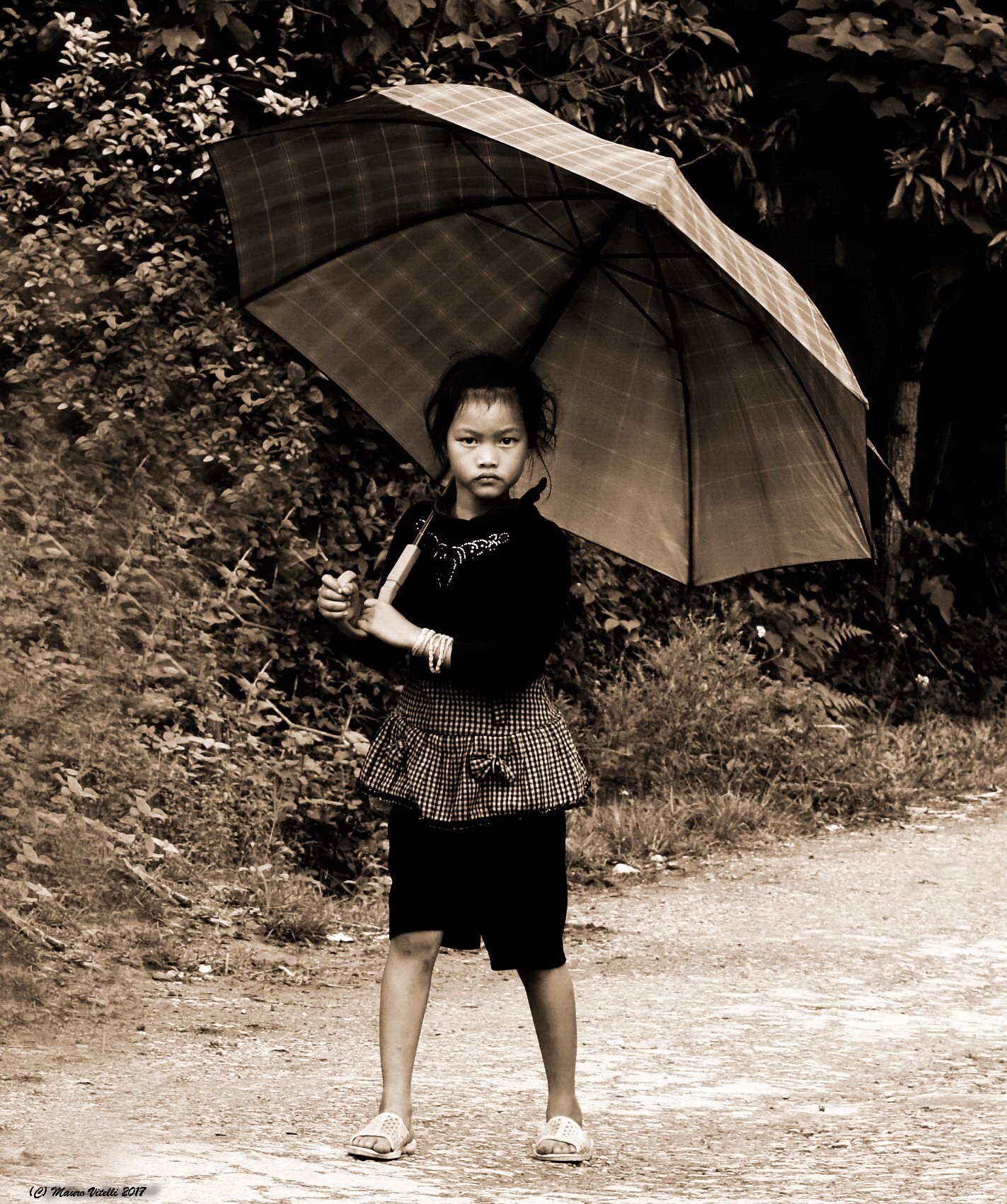 The small umbrella (Vietnam)