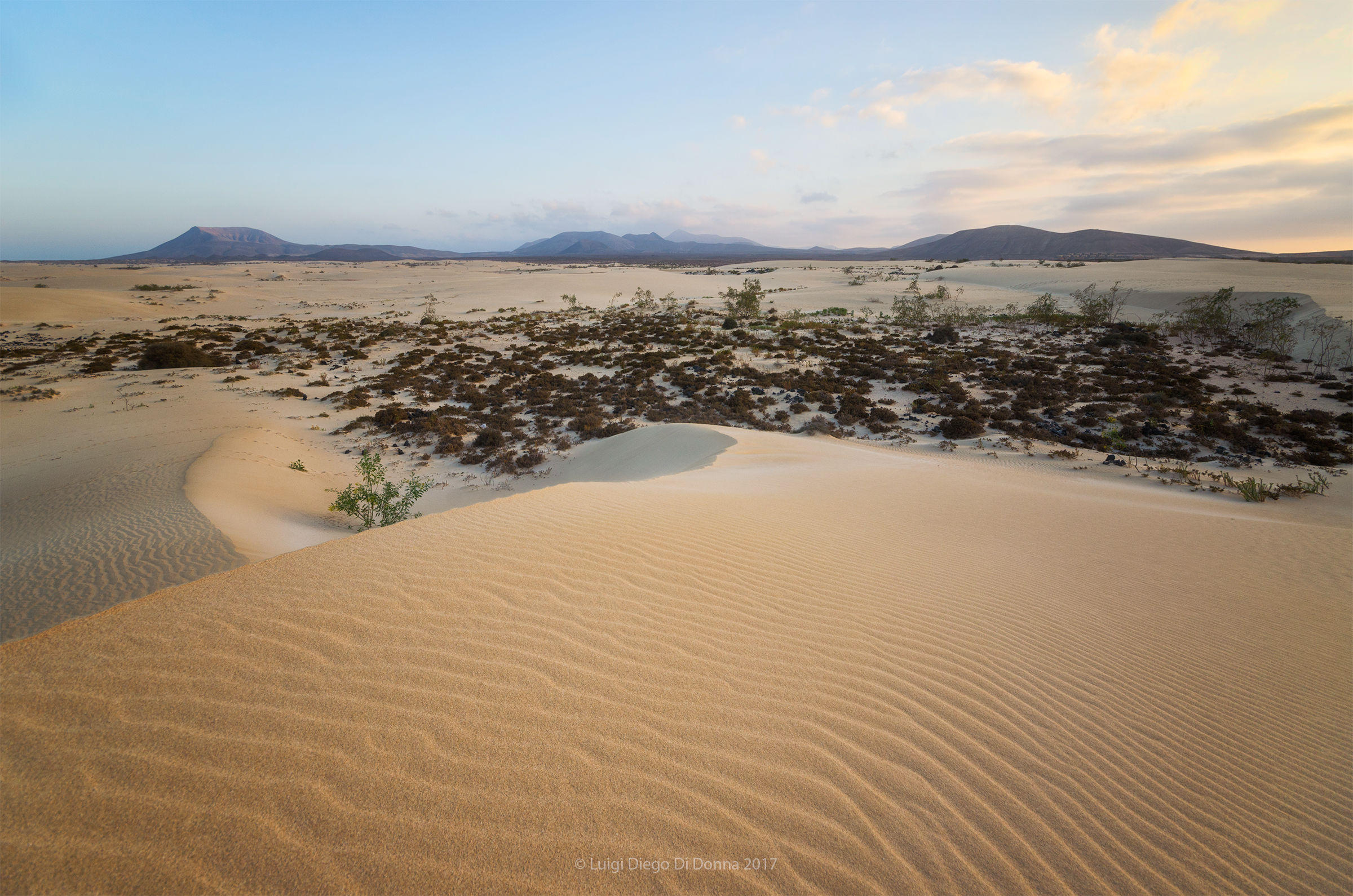 Among the dunes of Corralejo